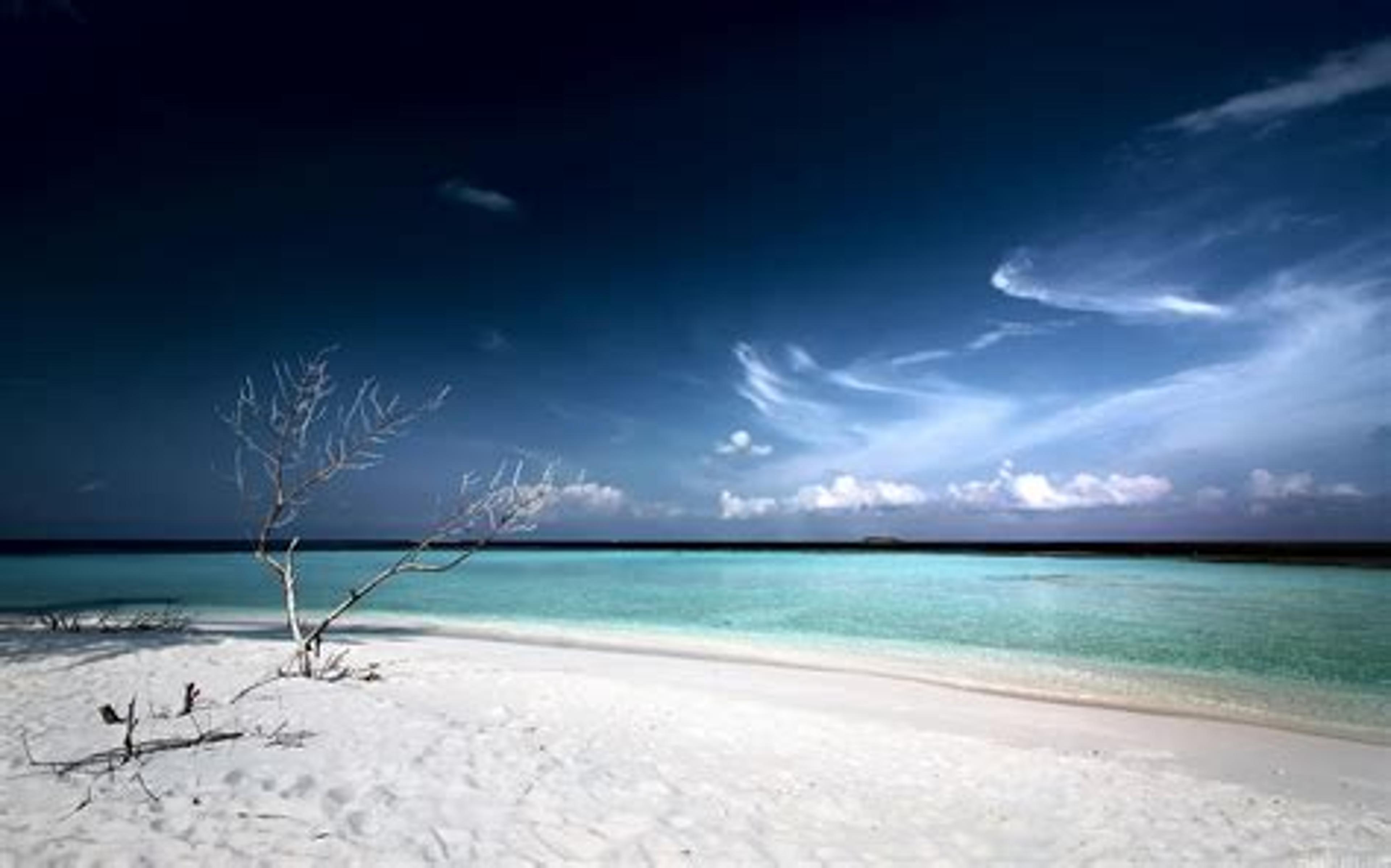 Shop cover image
