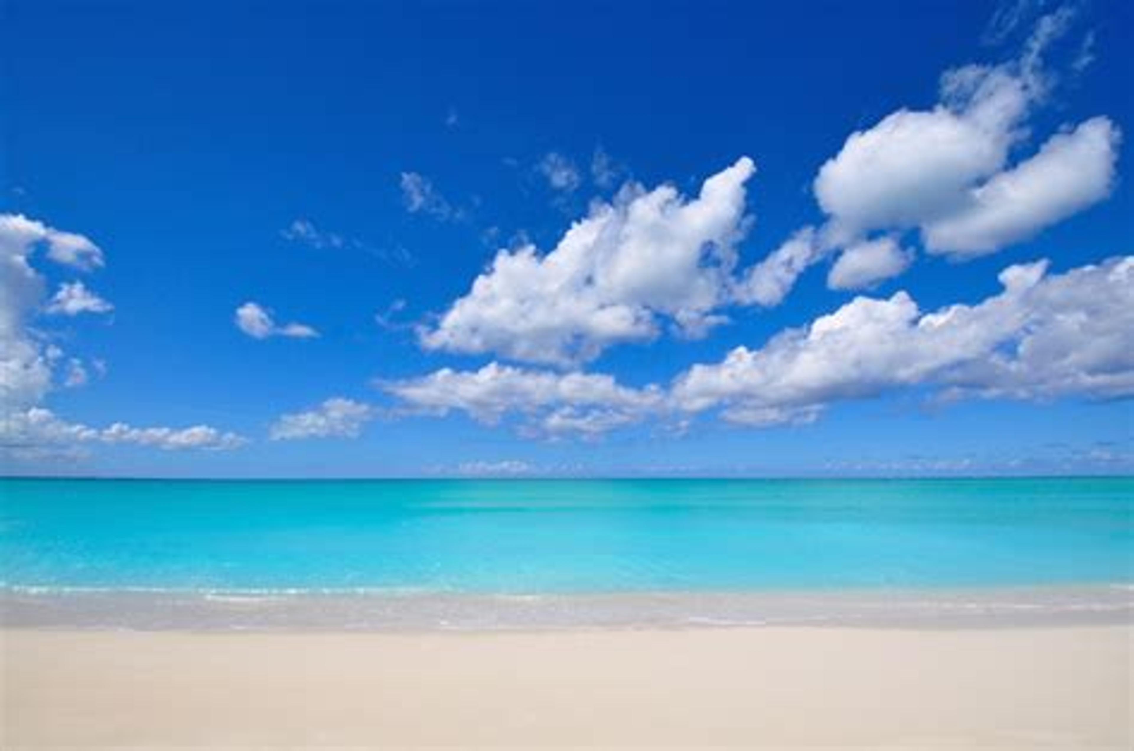 Shop cover image
