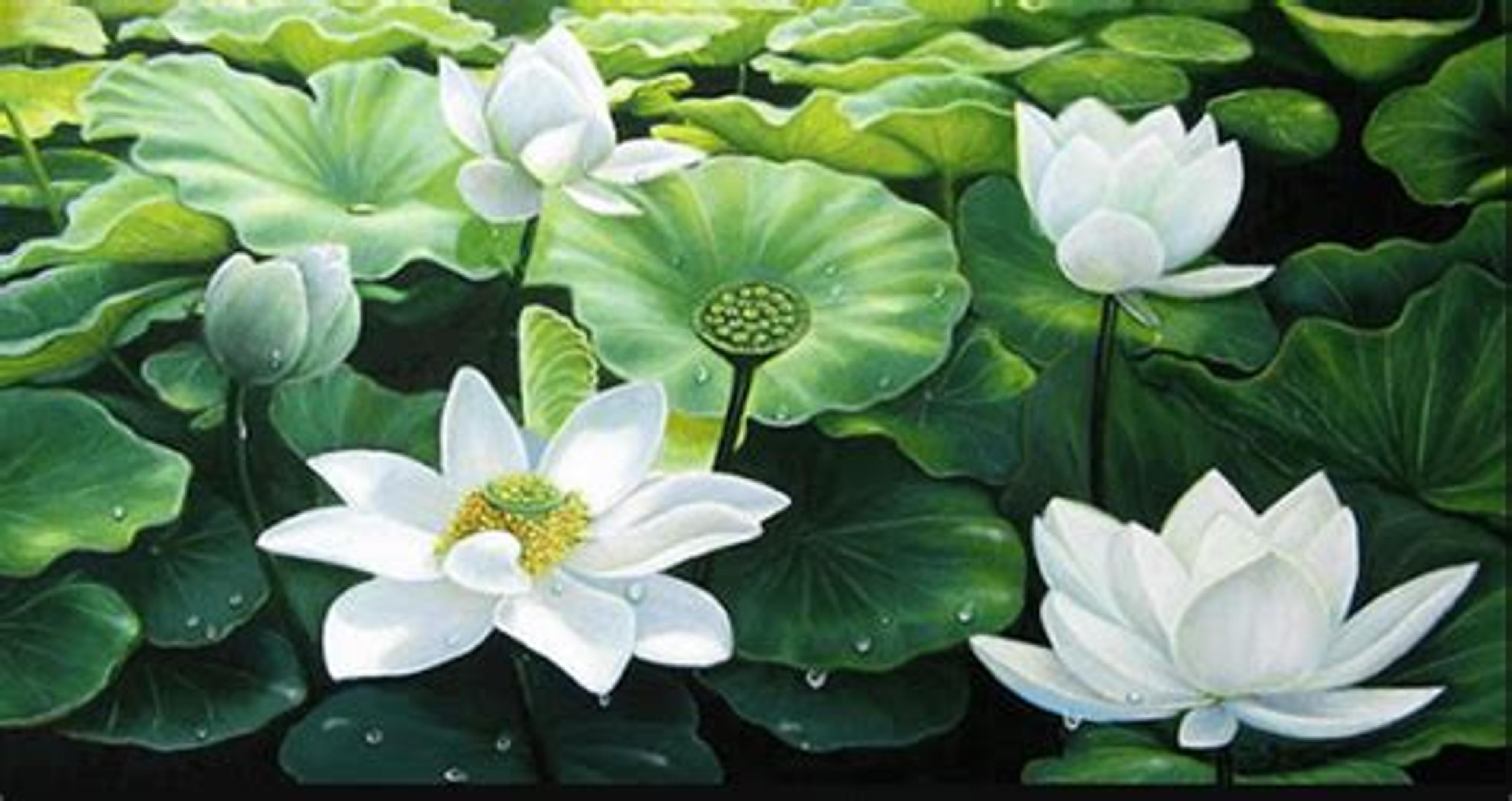 Shop cover image