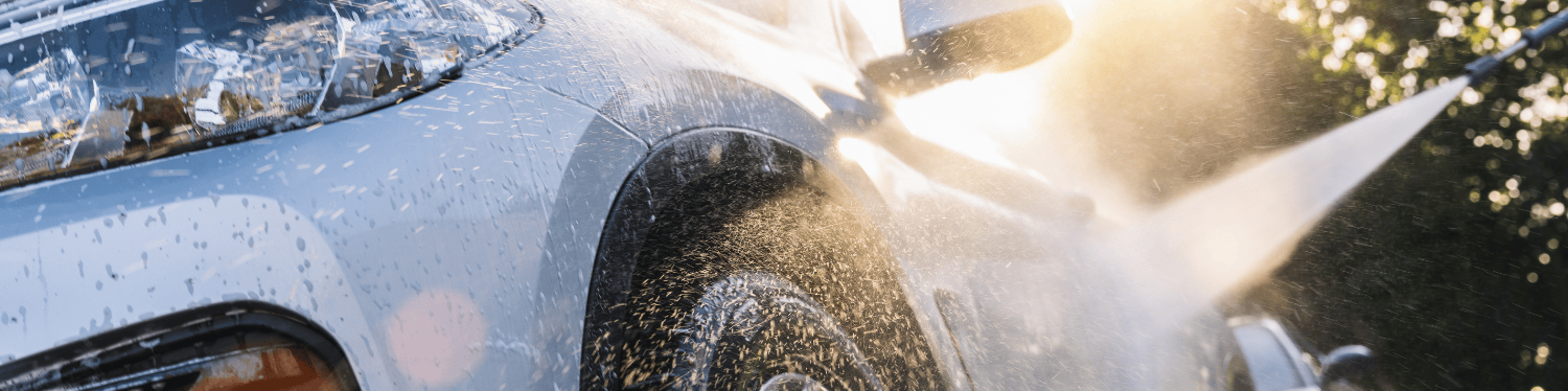 Shop cover image