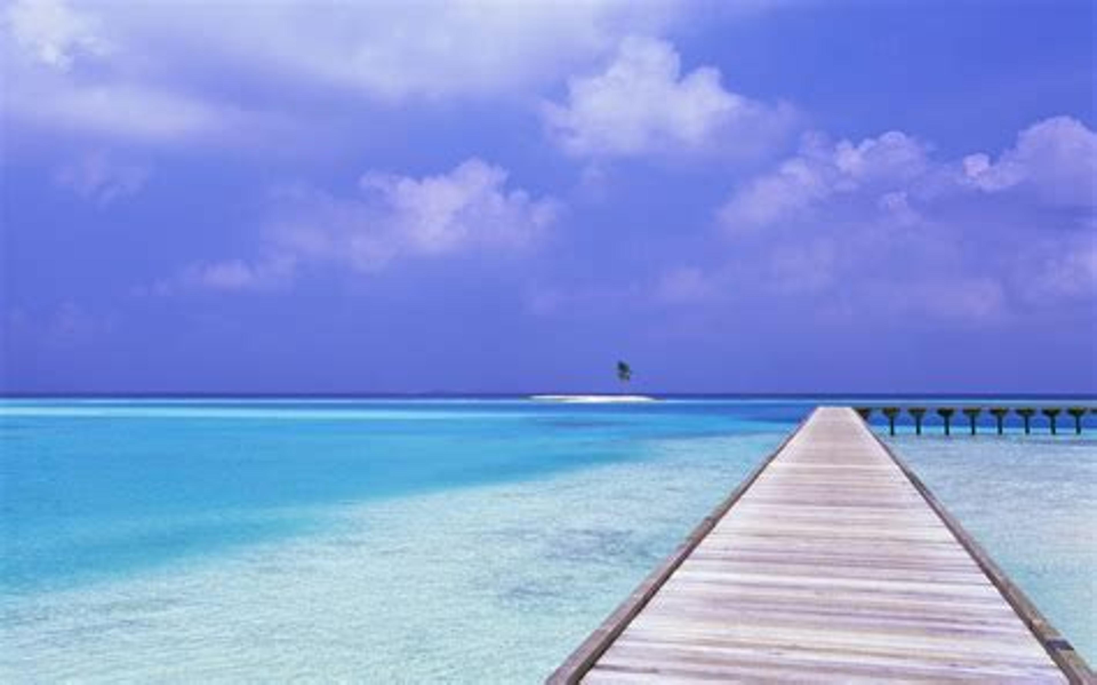 Shop cover image