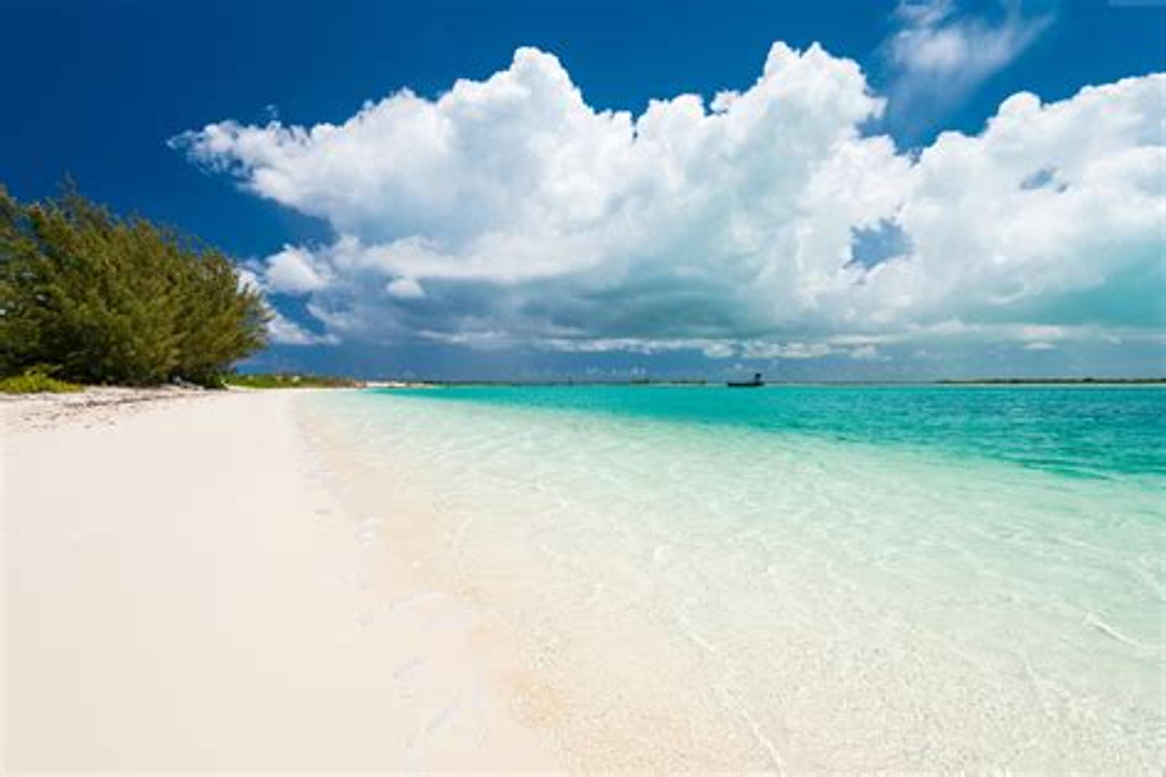 Shop cover image