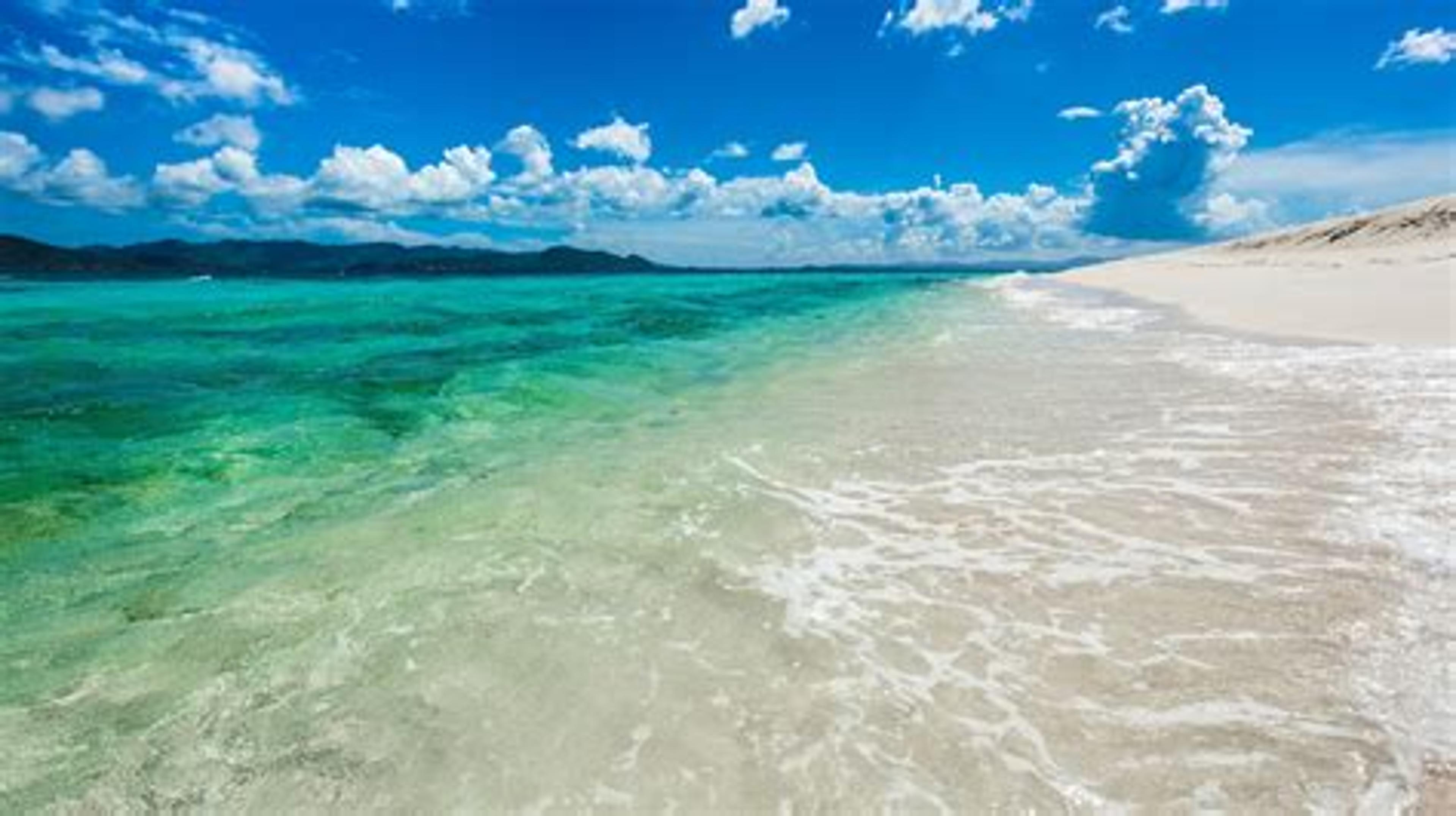 Shop cover image