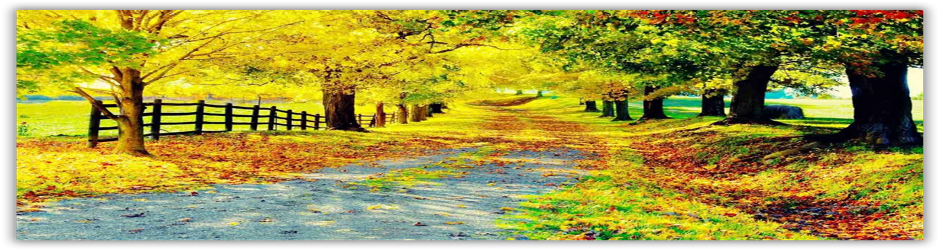 Shop cover image