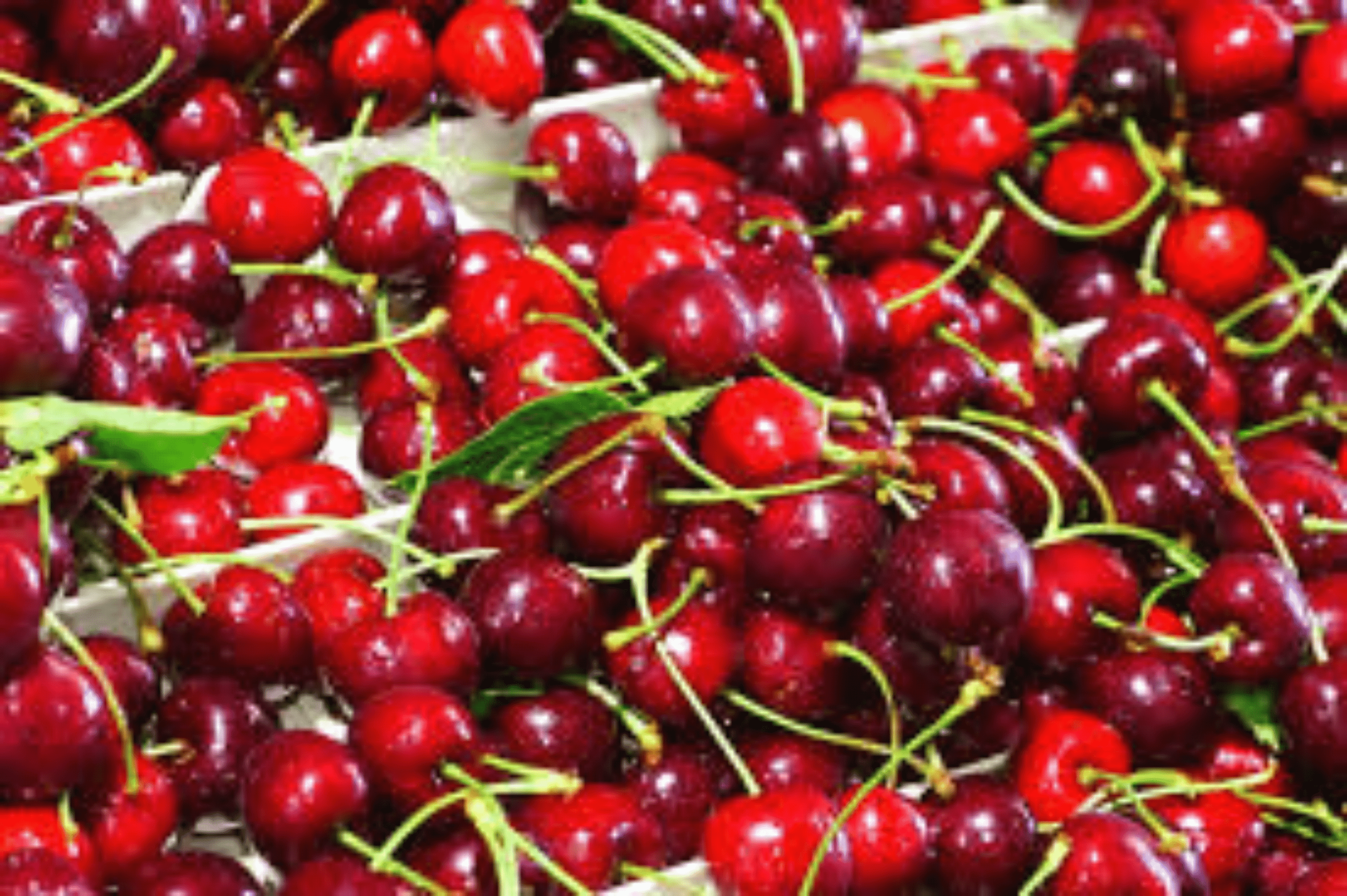 Shop cover image
