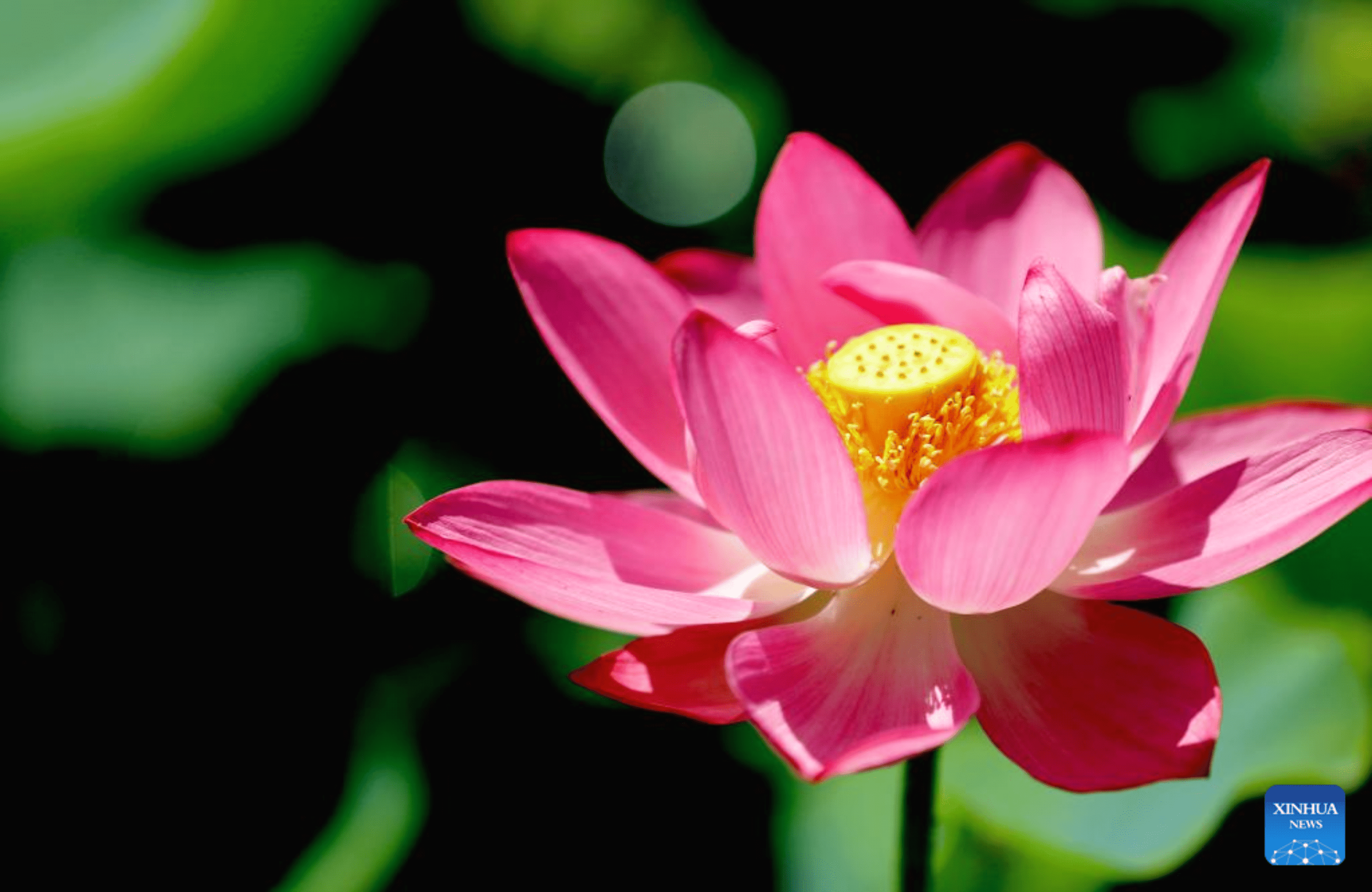 Shop cover image