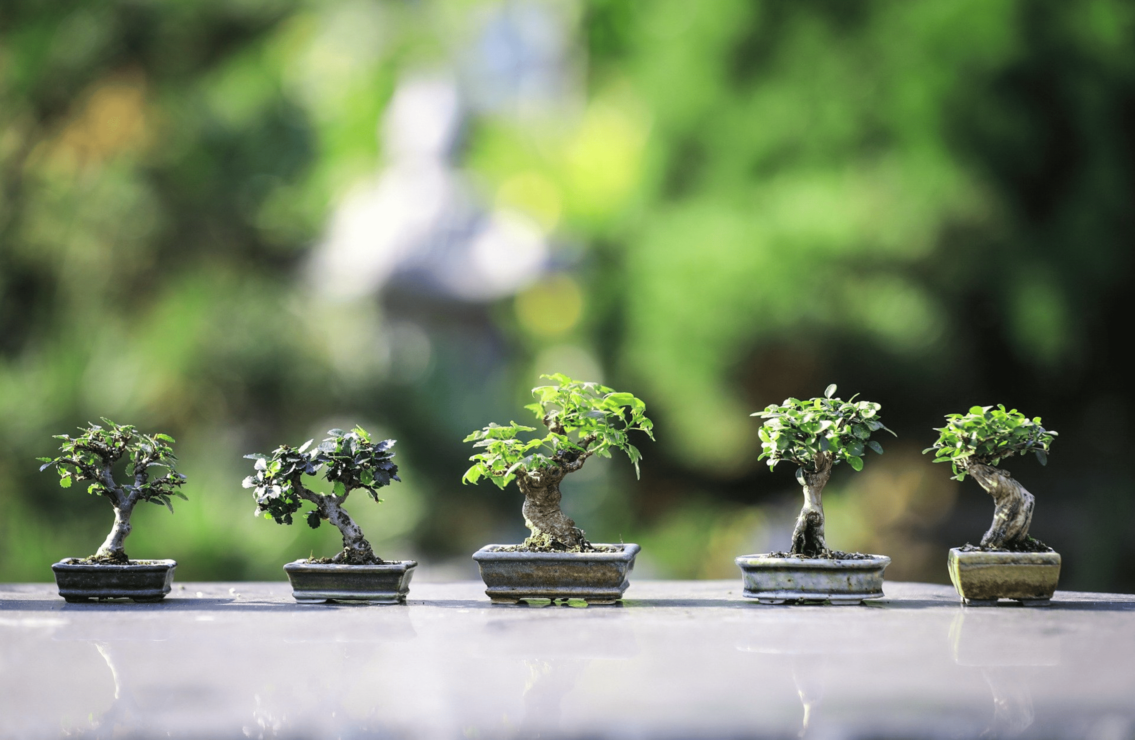 Shop cover image