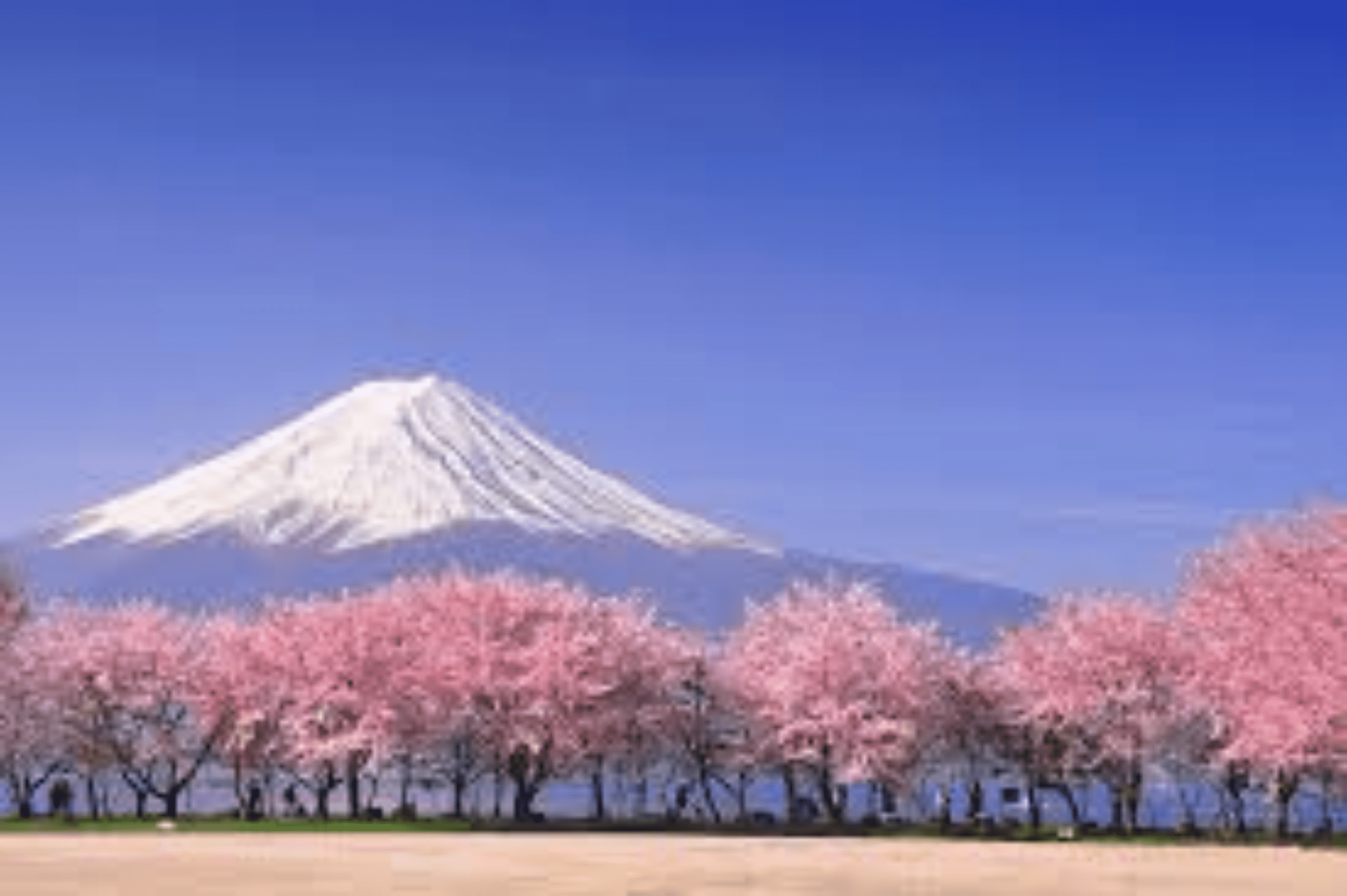 Shop cover image