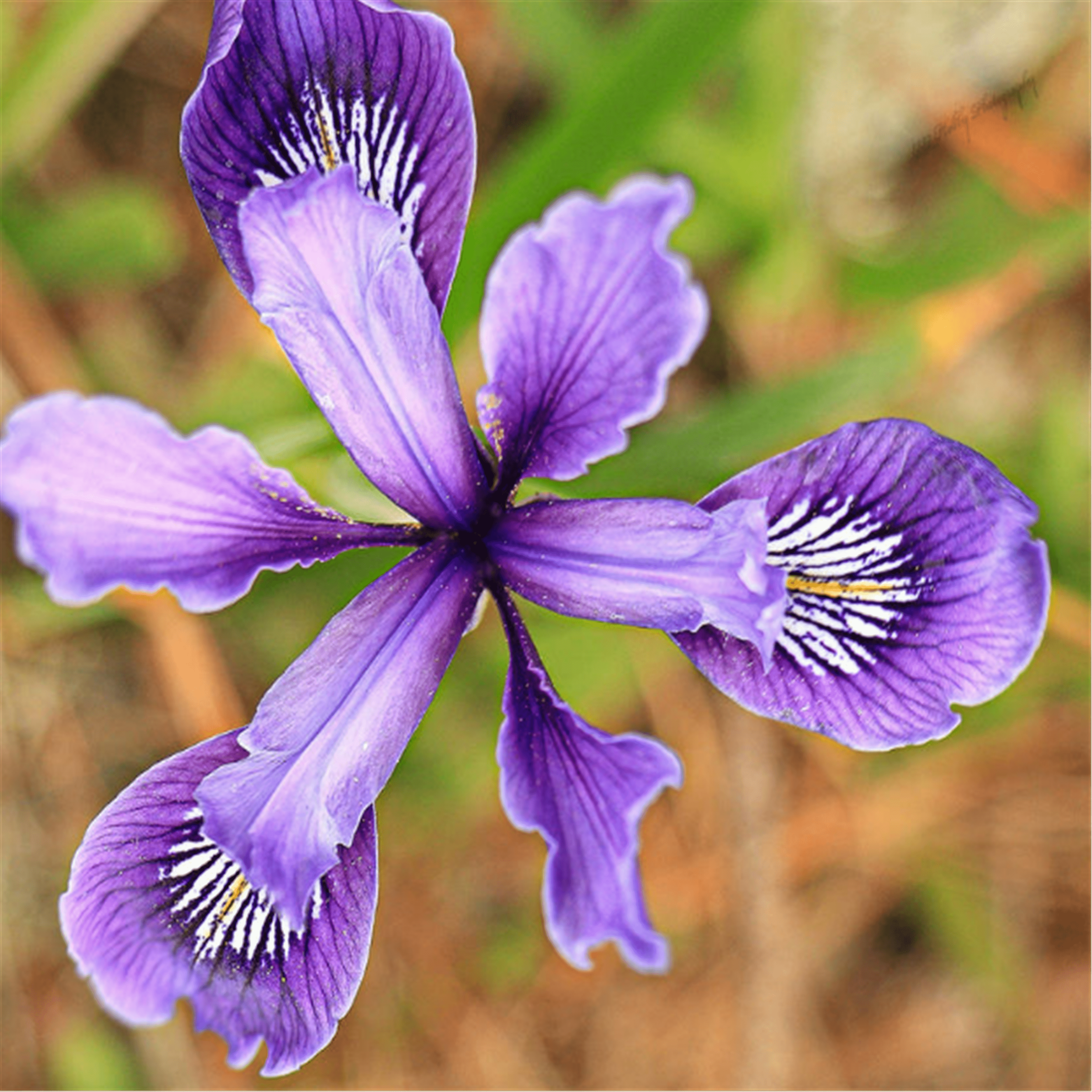Shop cover image