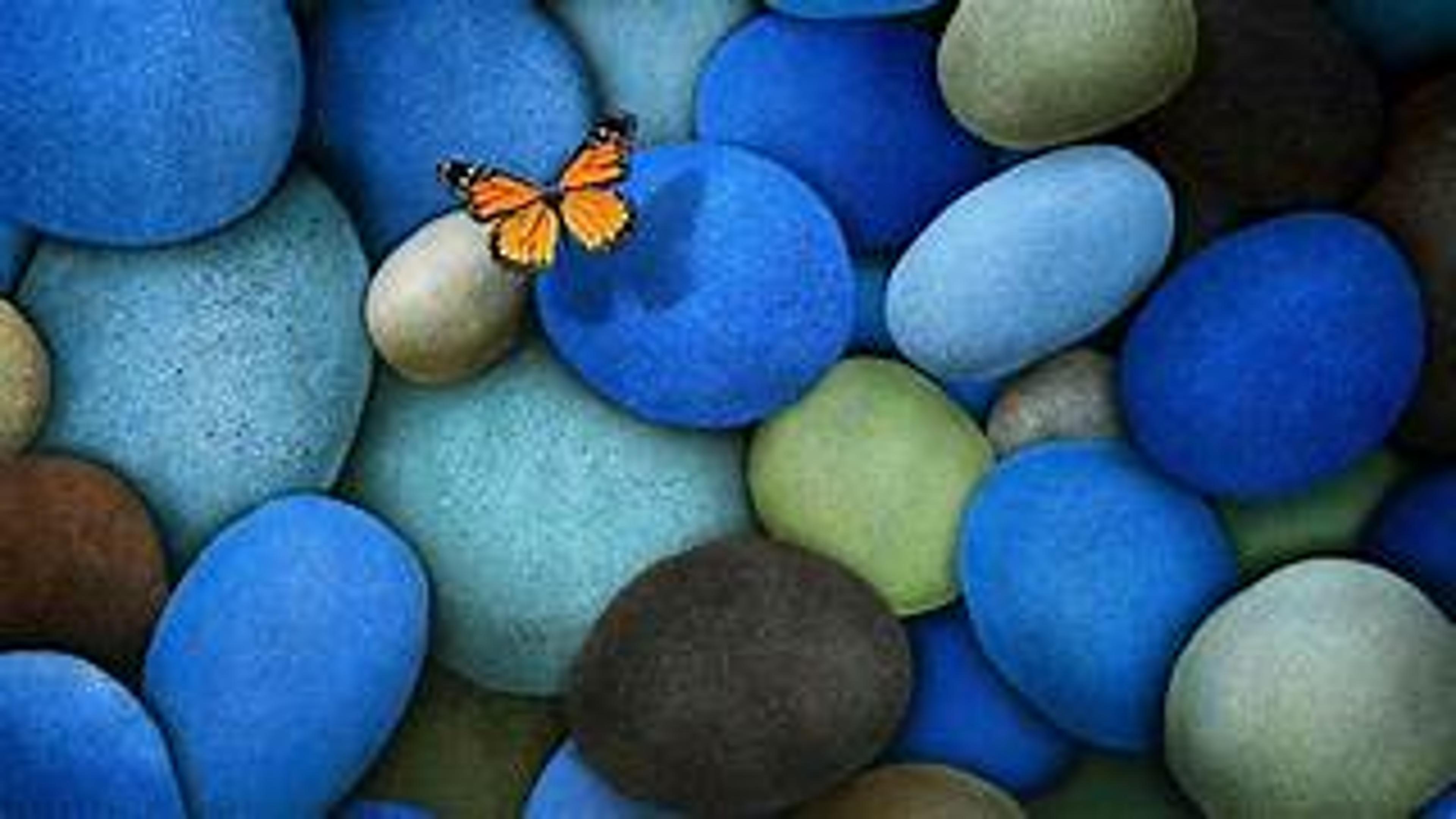 Shop cover image
