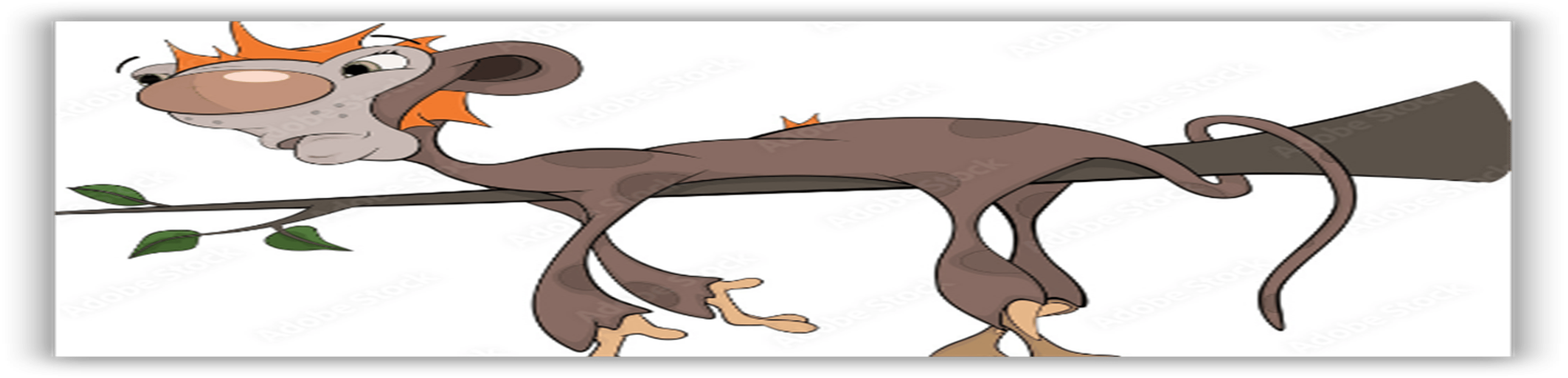 Shop cover image