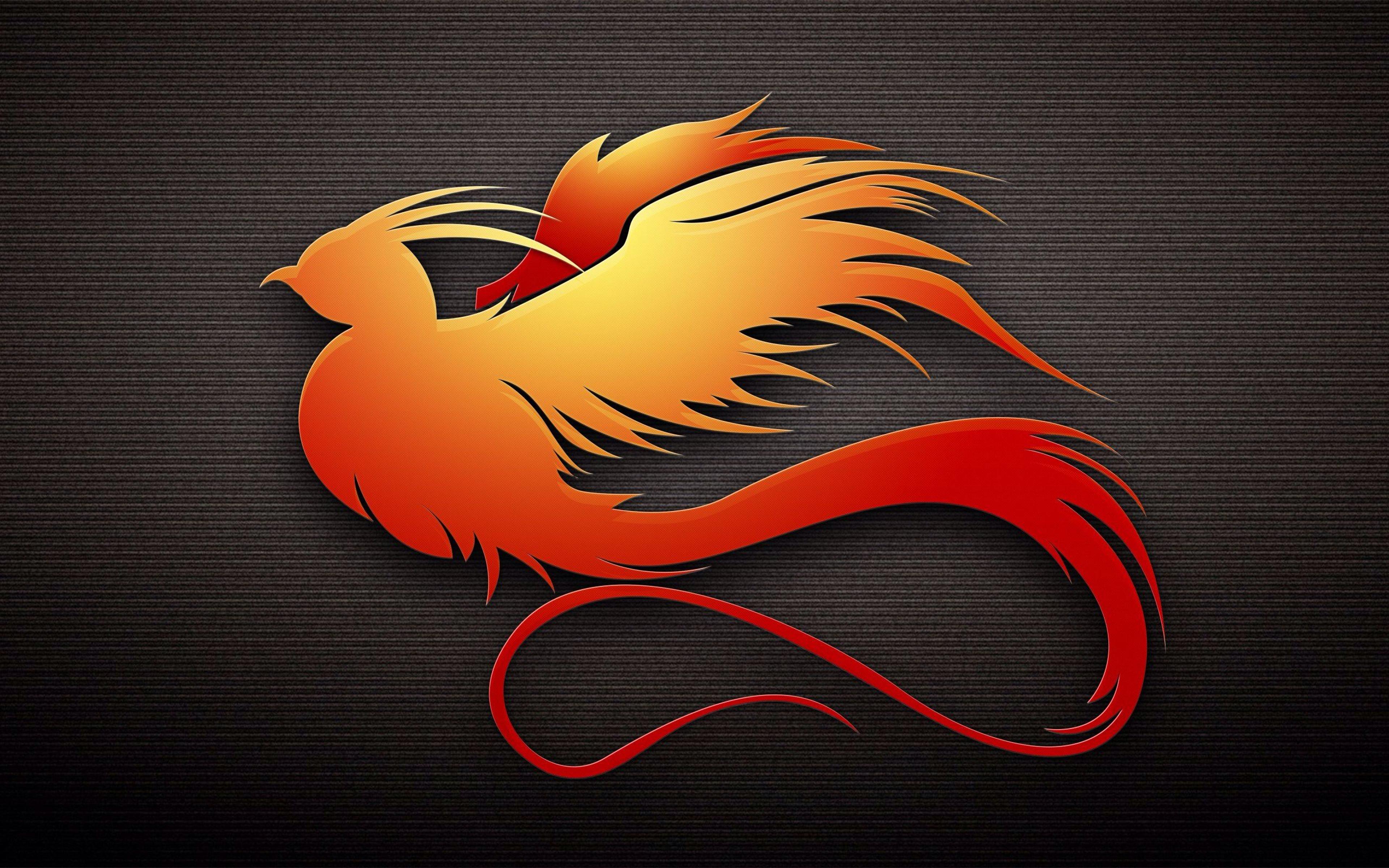 Shop cover image
