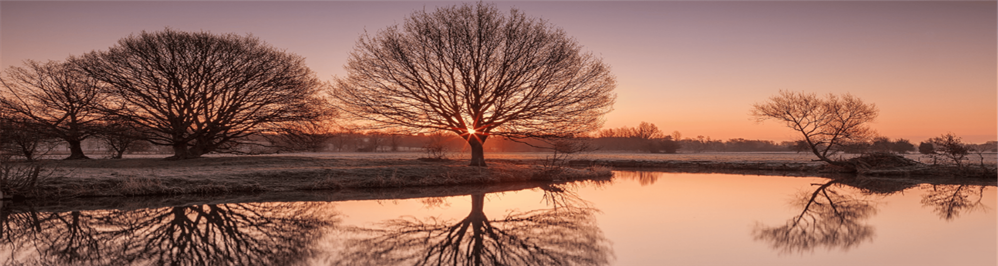 Shop cover image