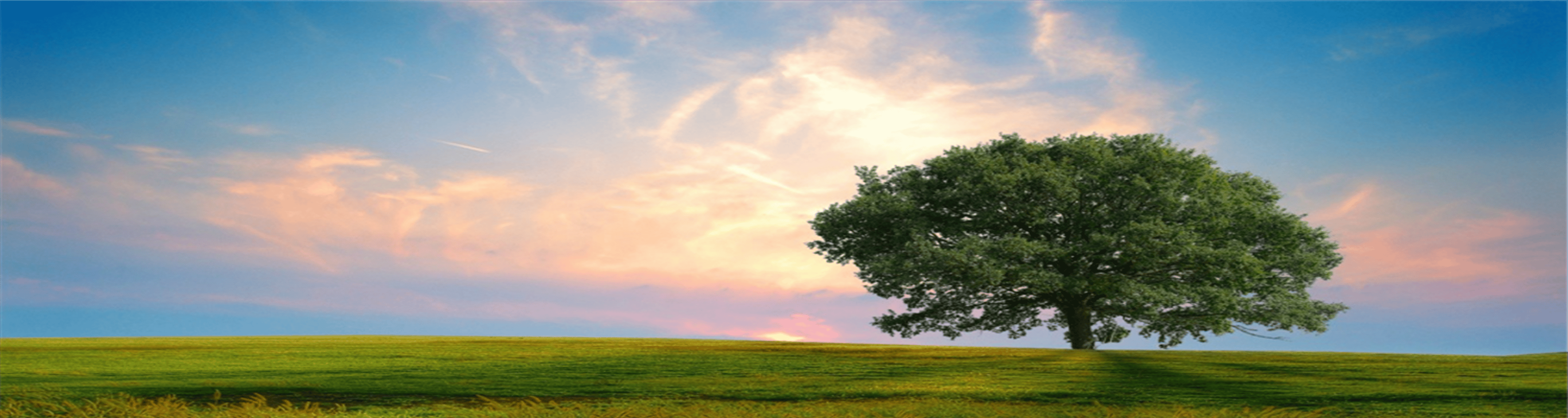 Shop cover image