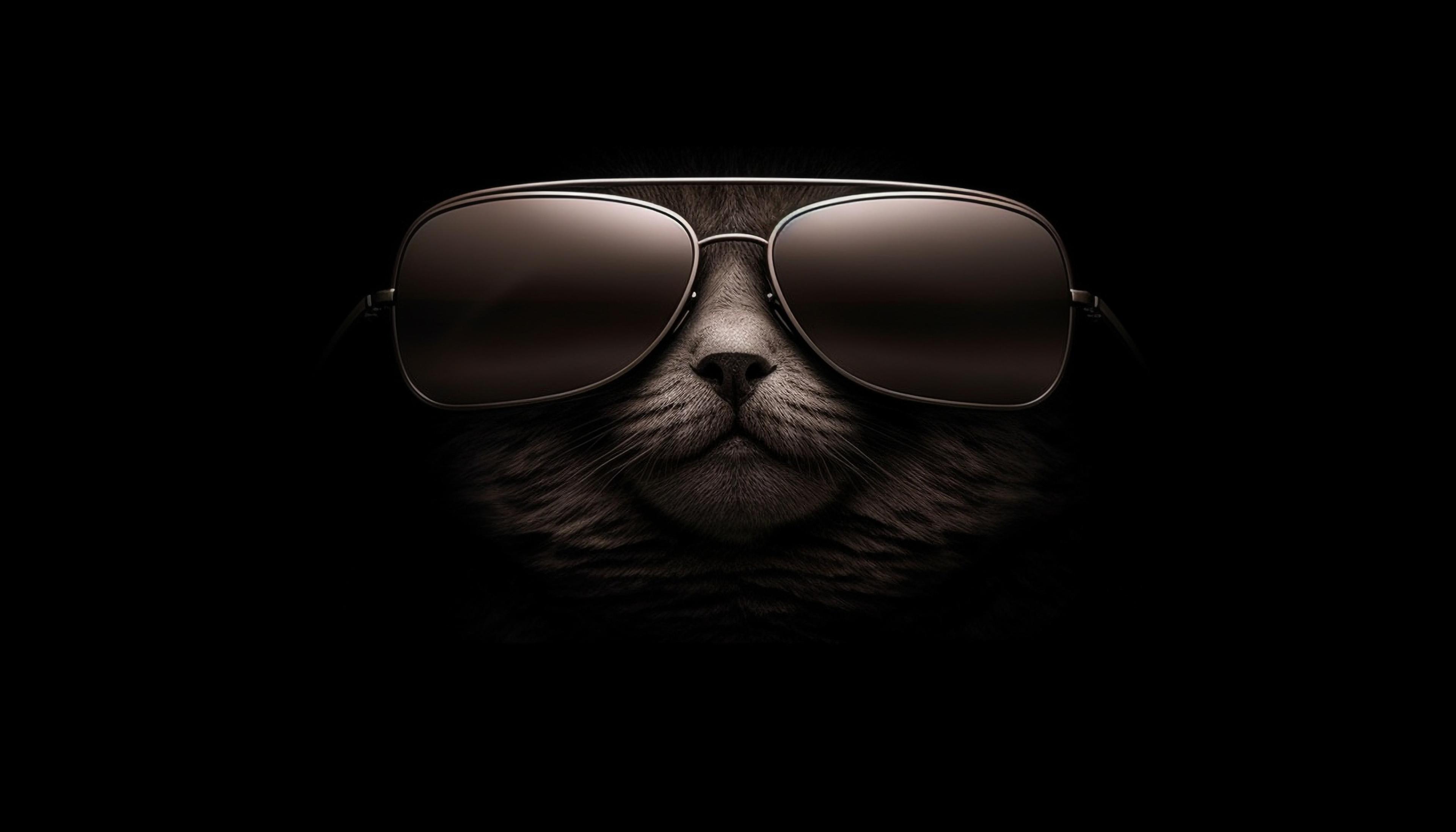 Shop cover image