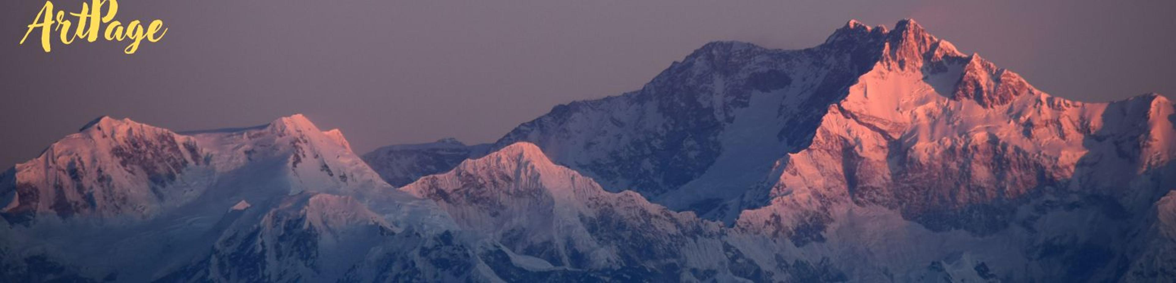 Shop cover image