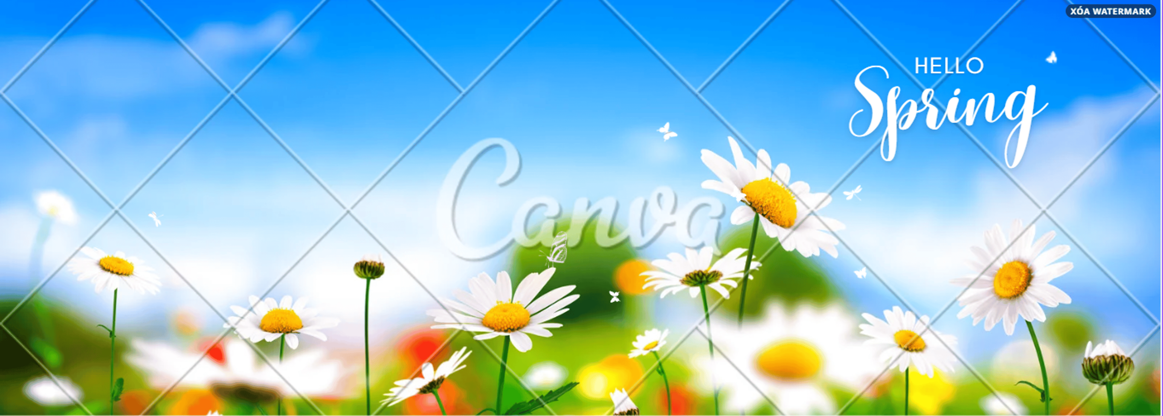 Shop cover image
