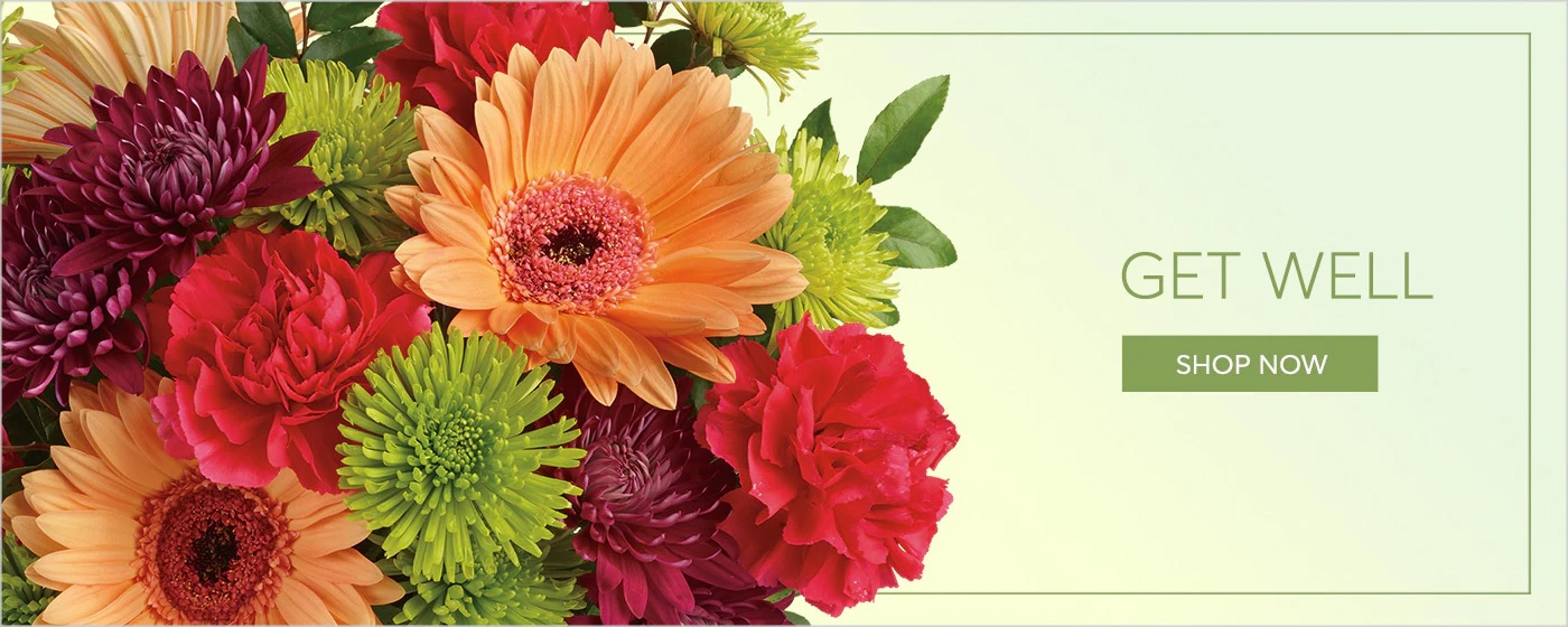 Shop cover image