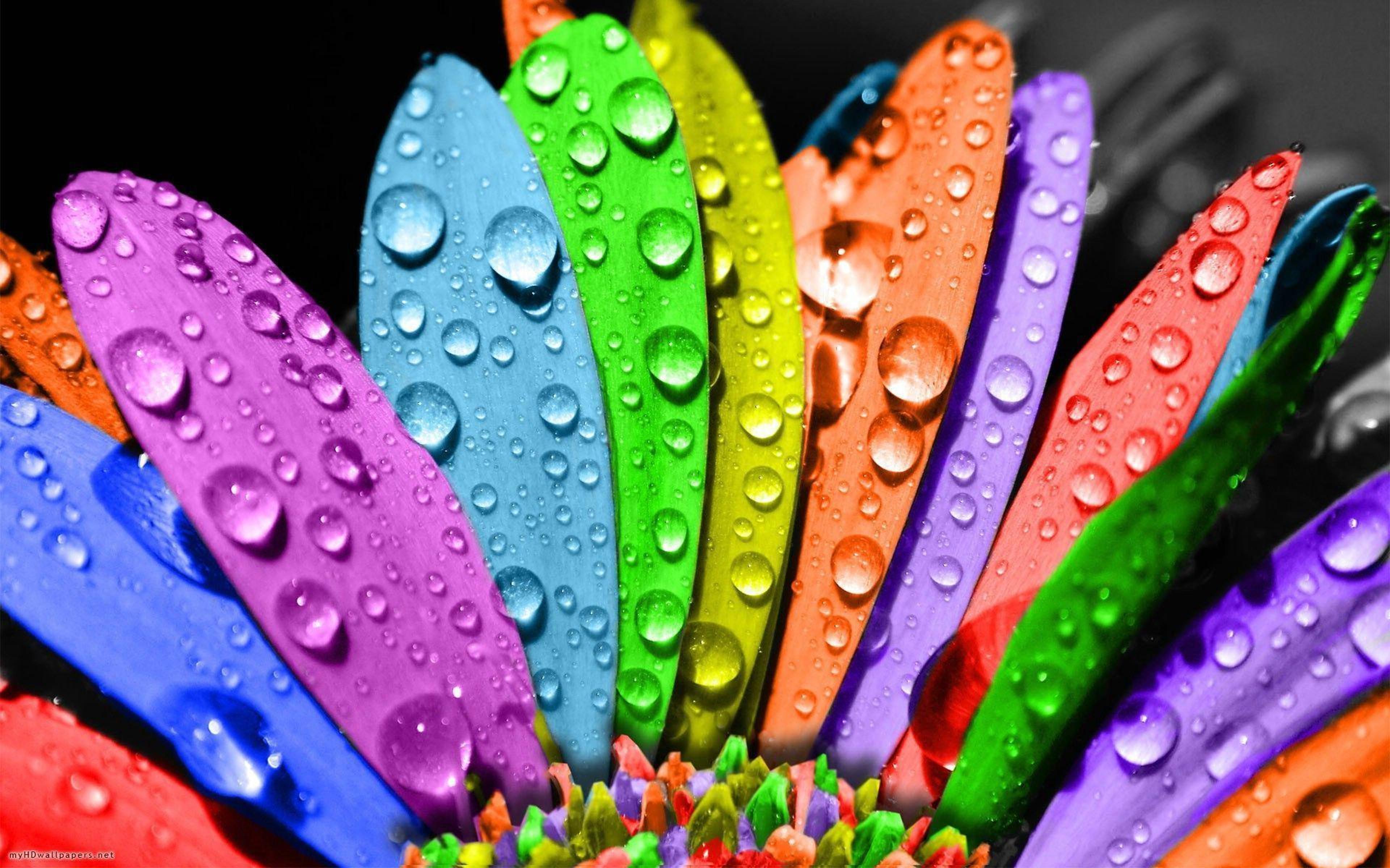 Shop cover image