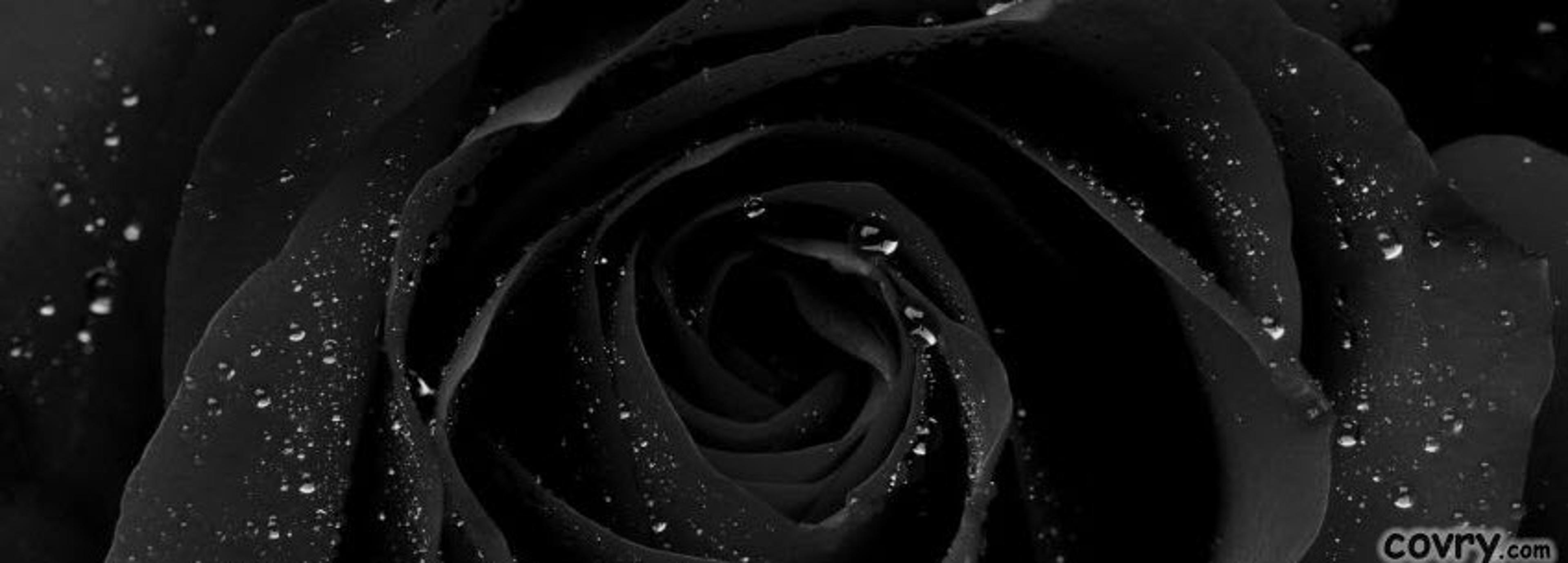 Shop cover image