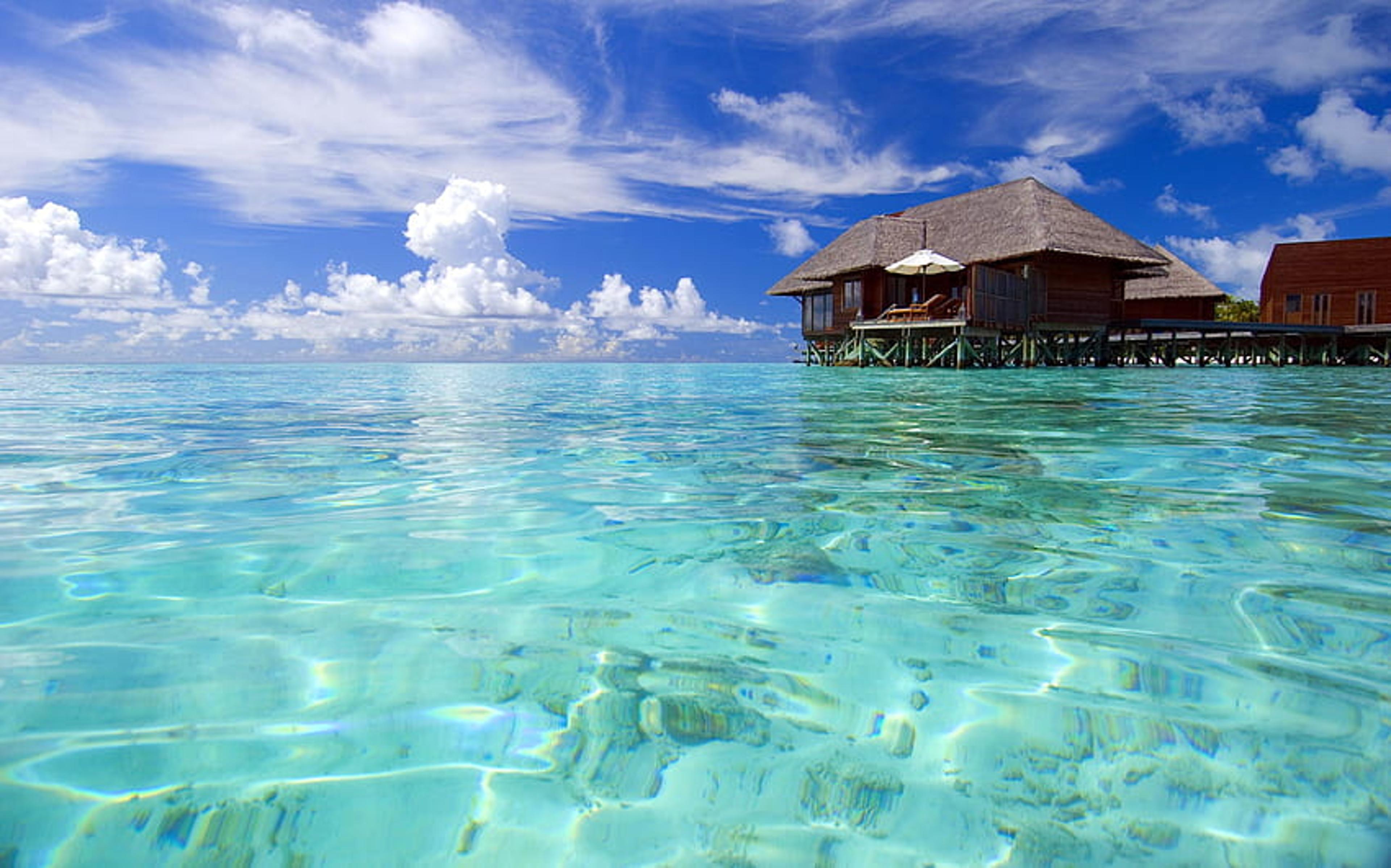 Shop cover image