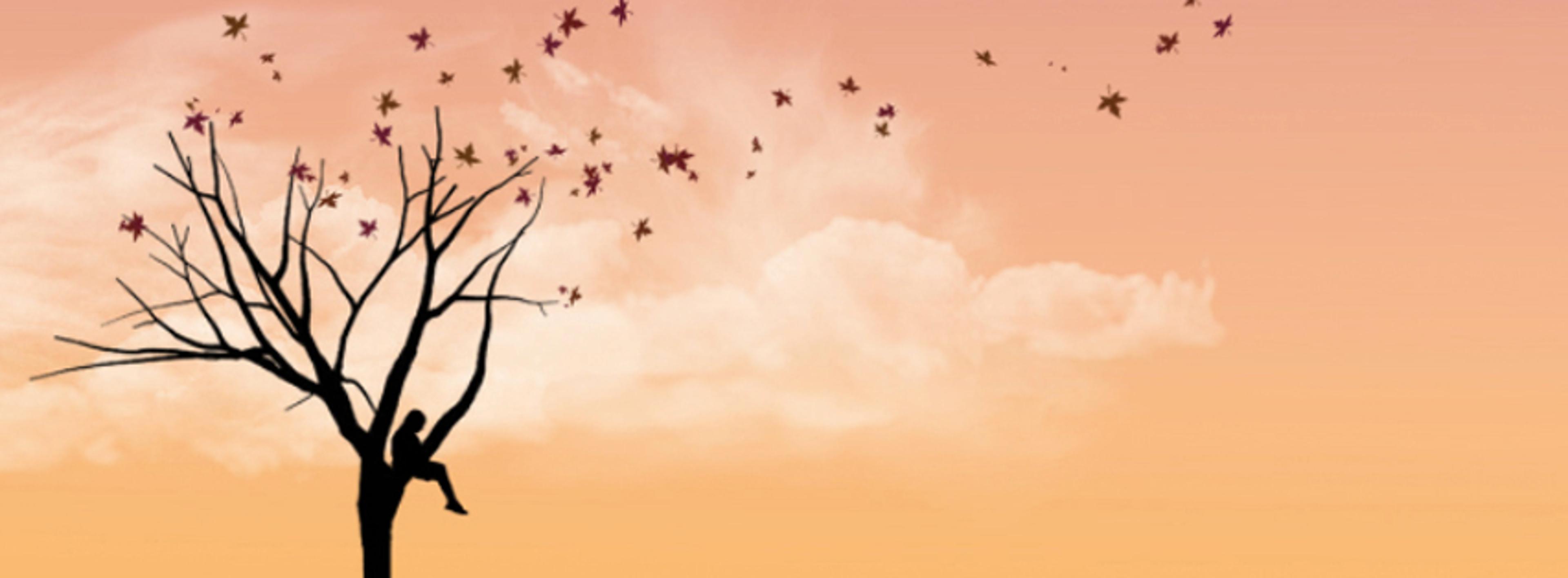 Shop cover image