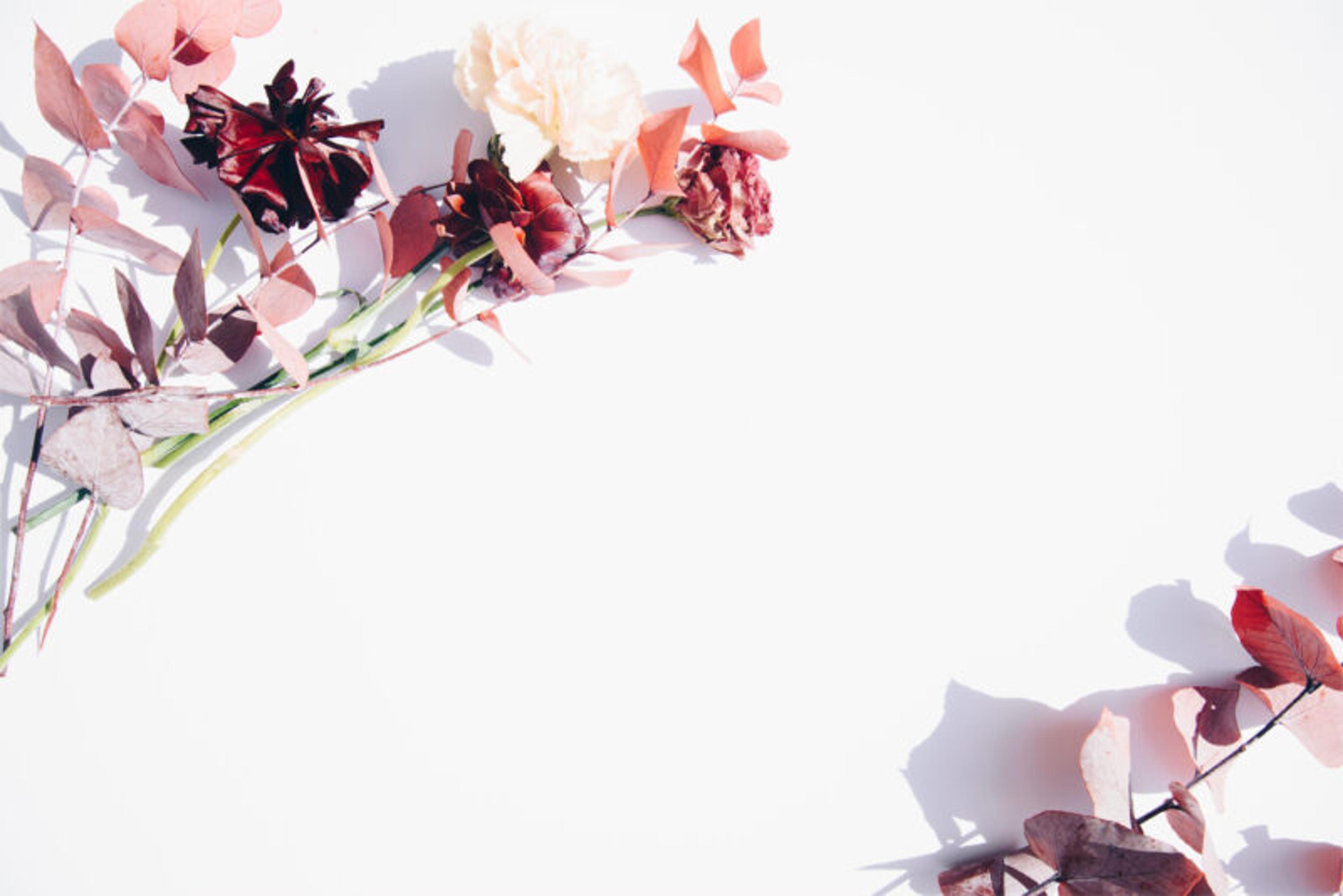 Shop cover image