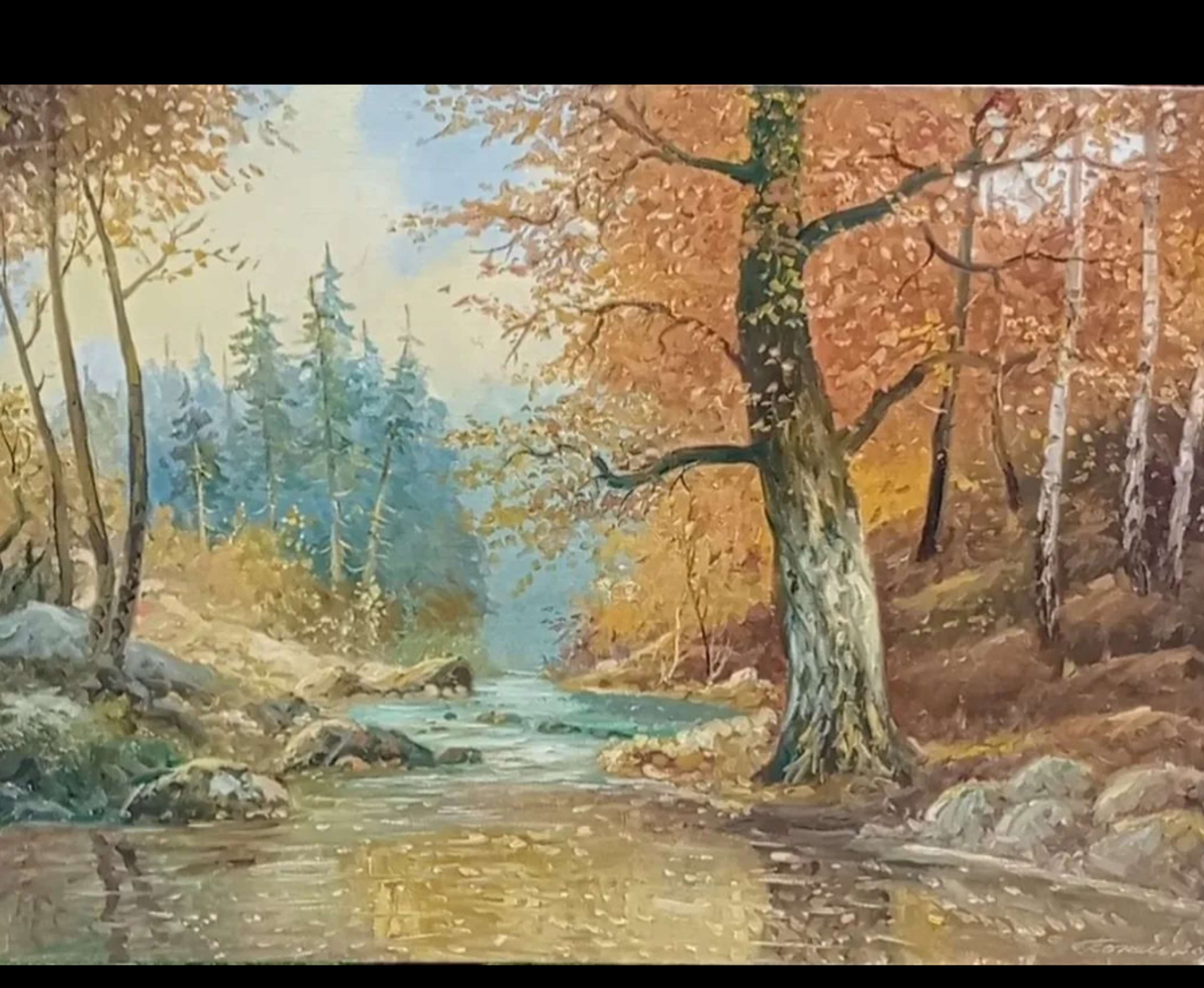 Shop cover image