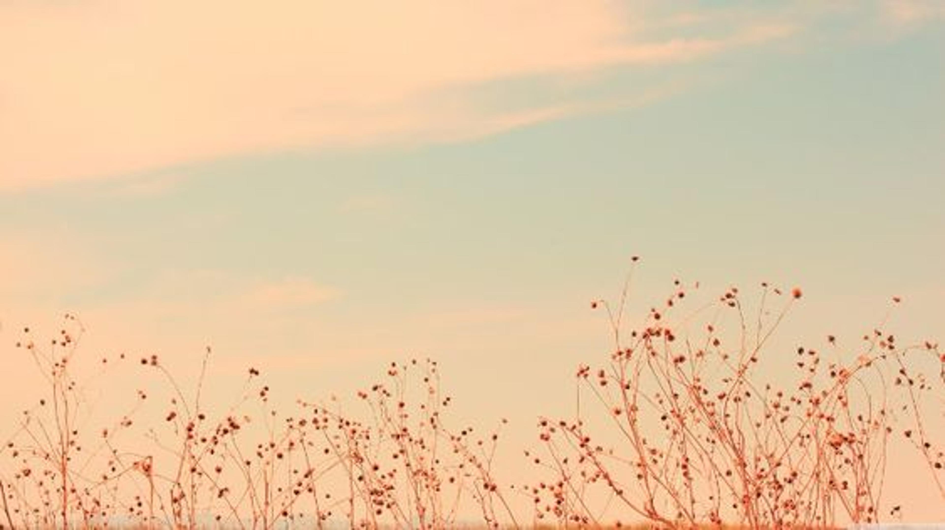 Shop cover image