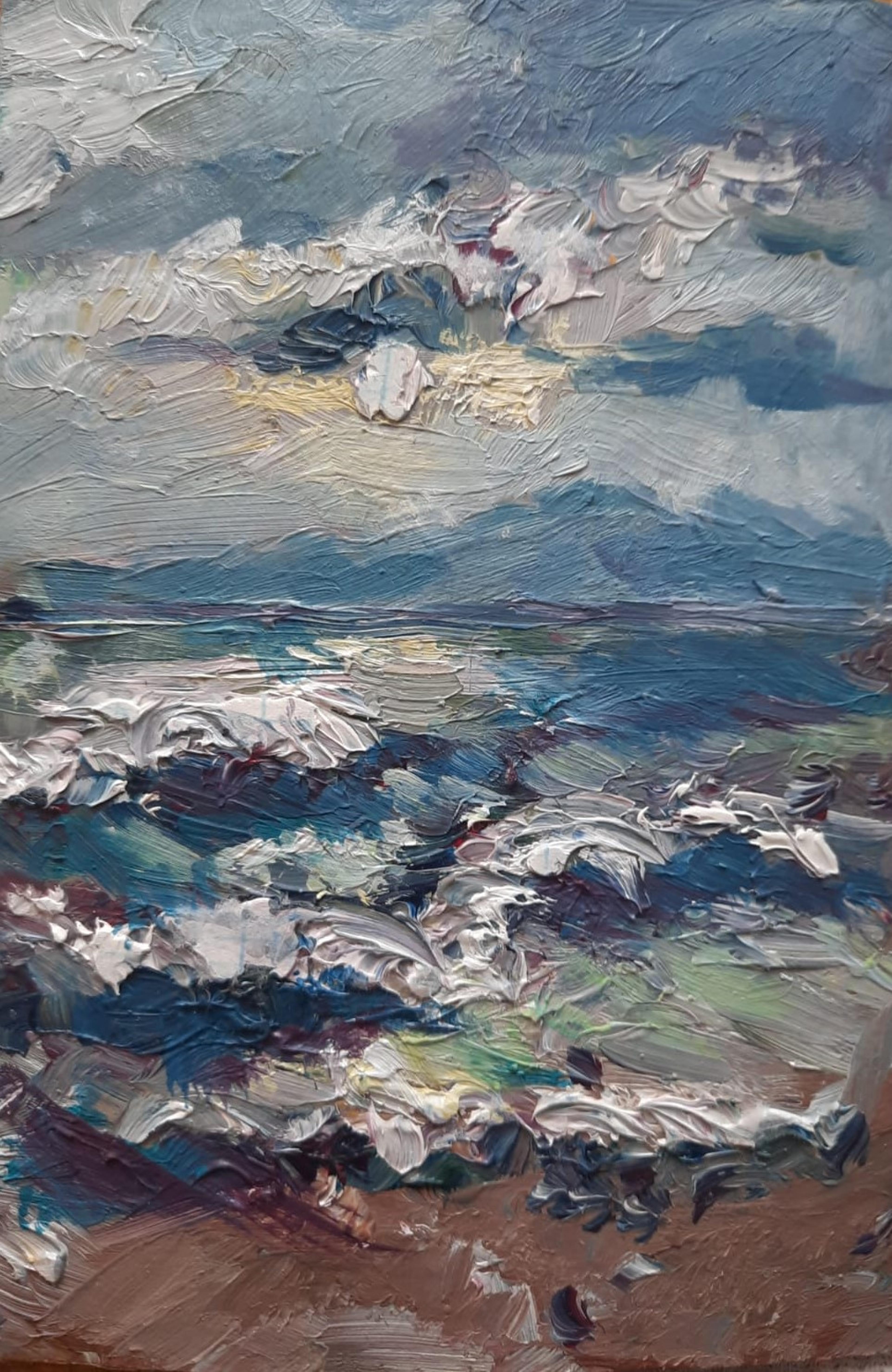 Shop cover image