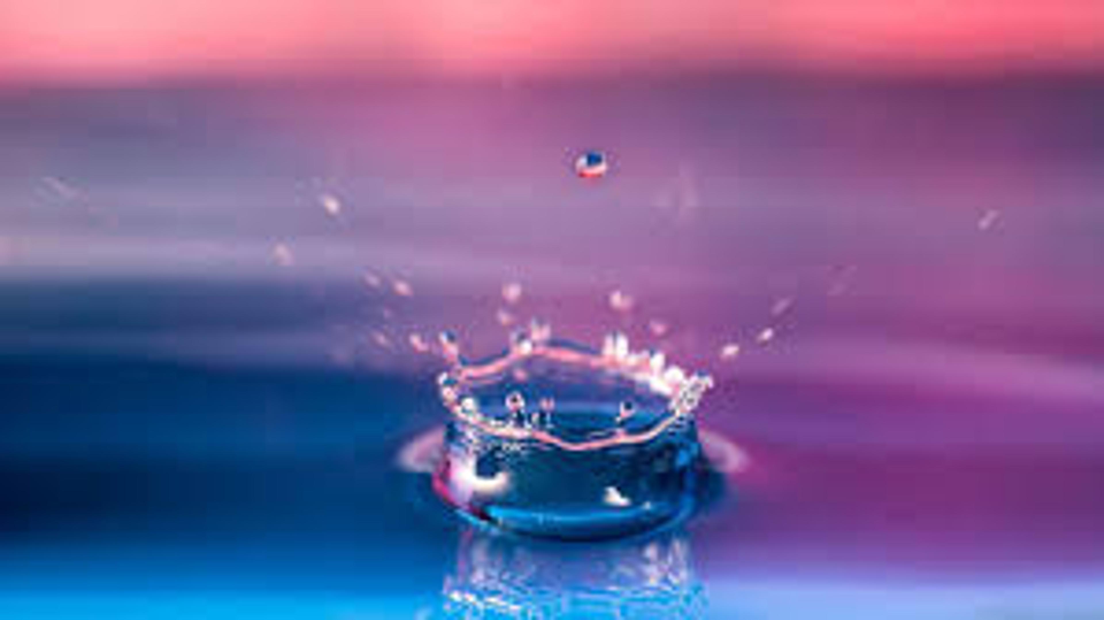 Shop cover image