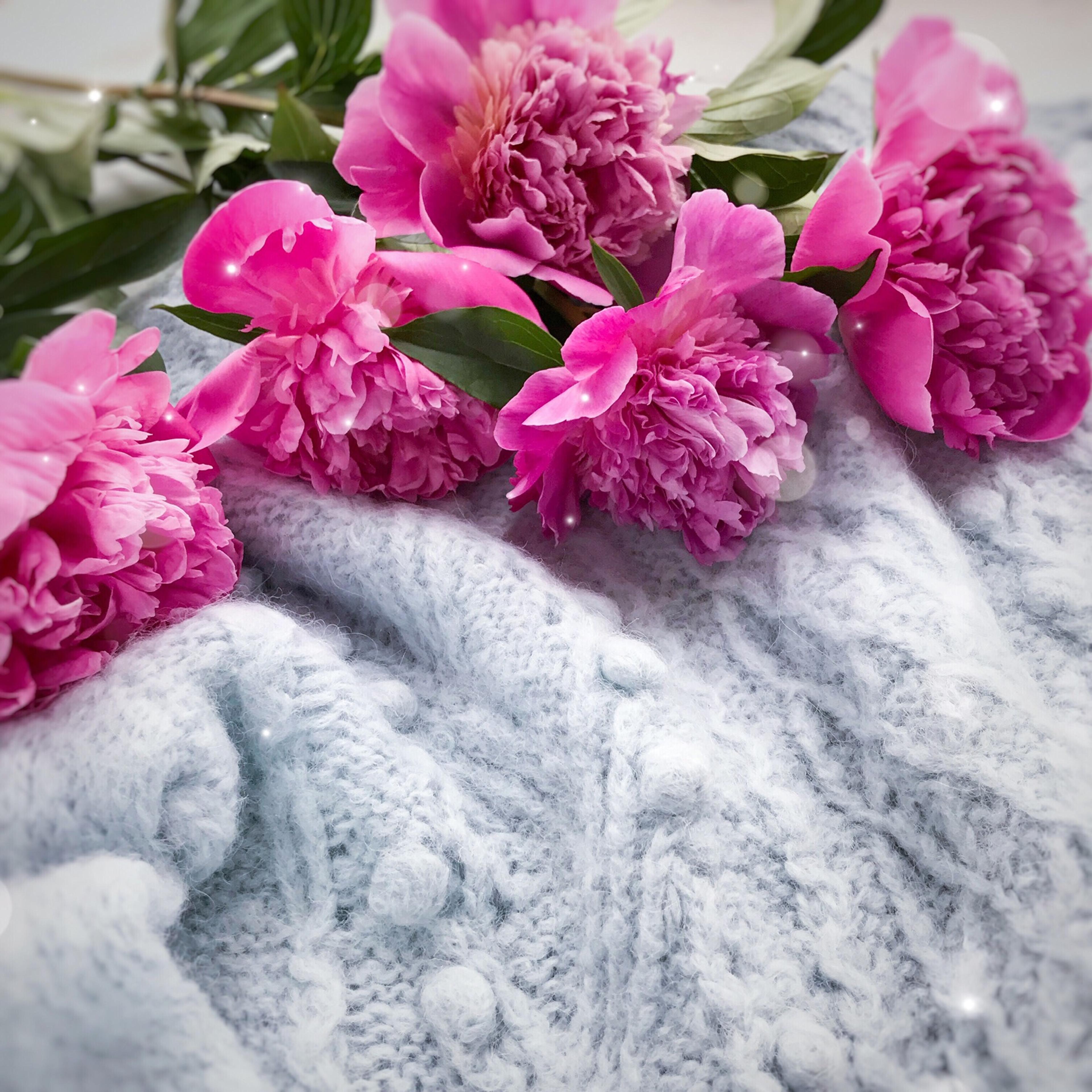 Shop cover image