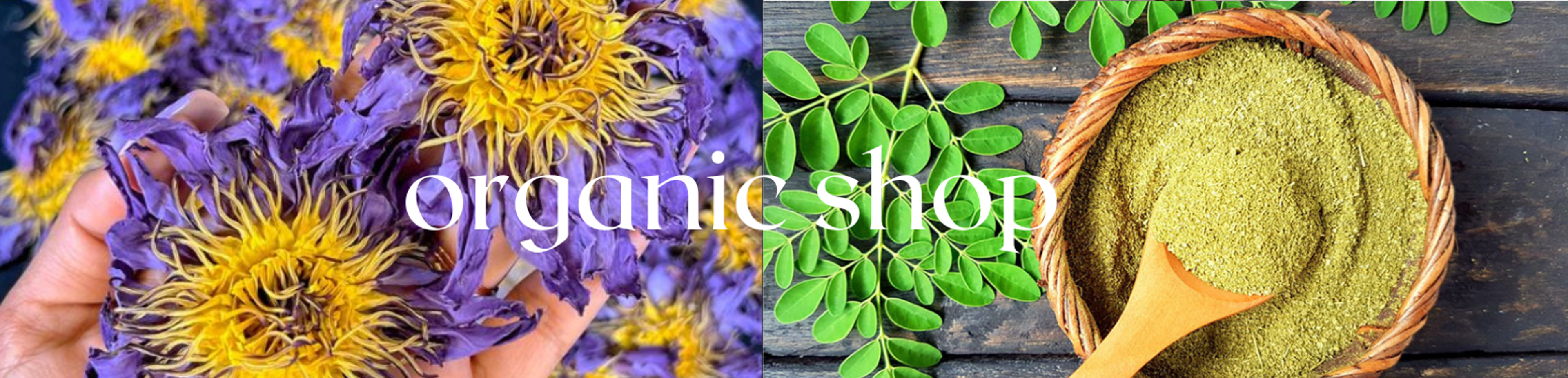 Shop cover image