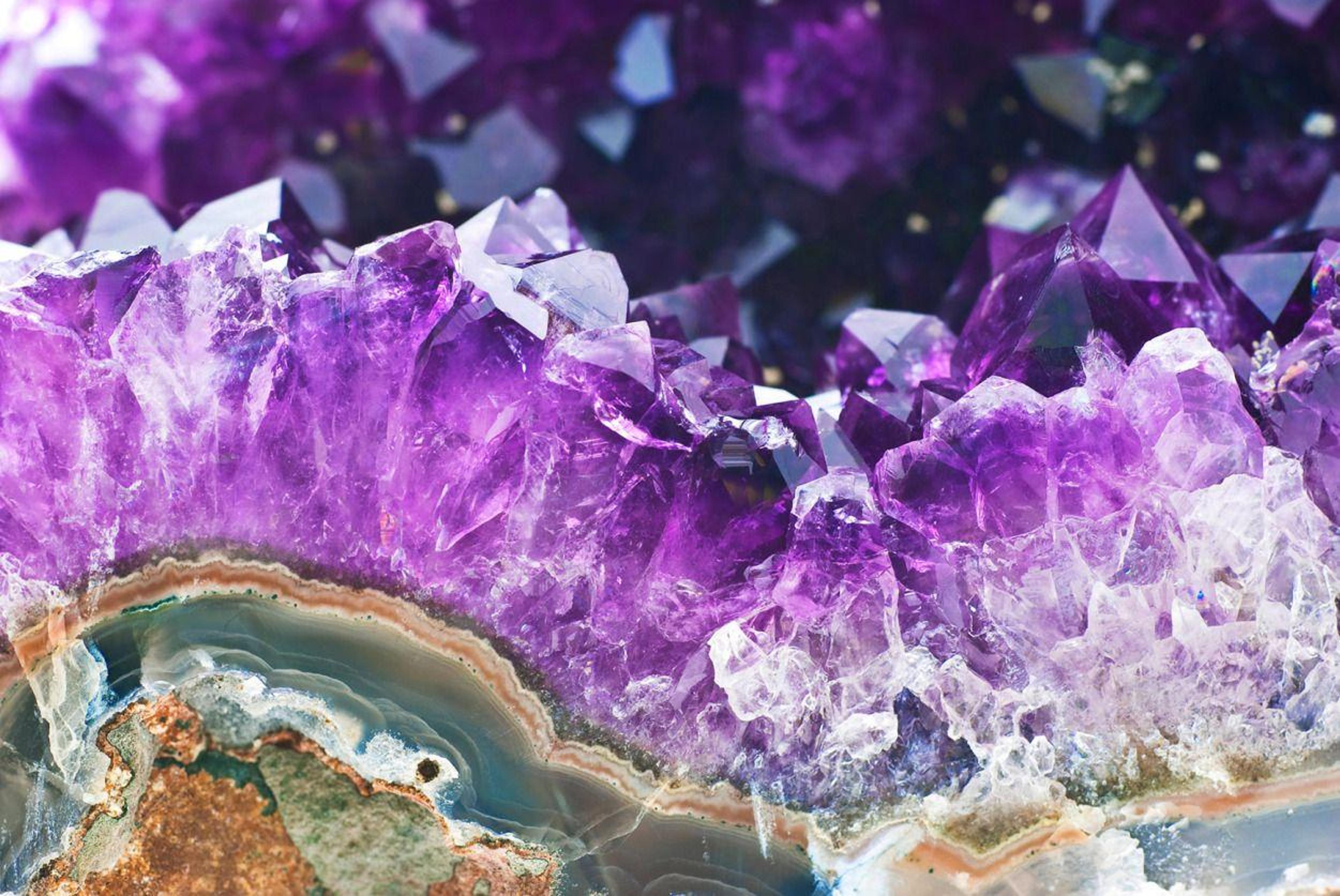 Shop cover image