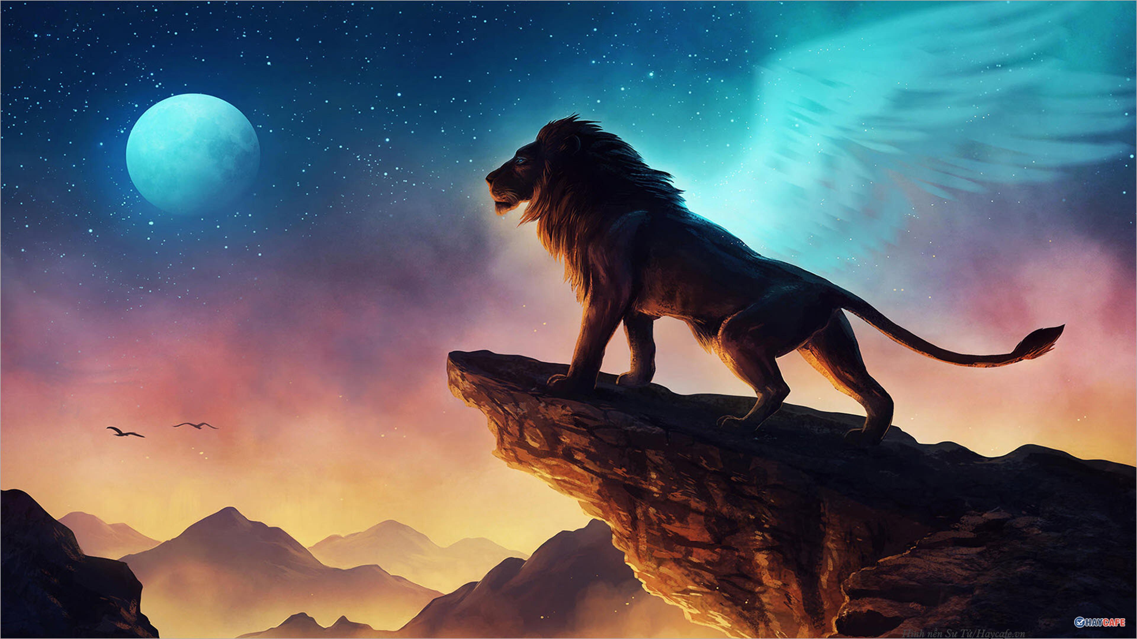 Shop cover image