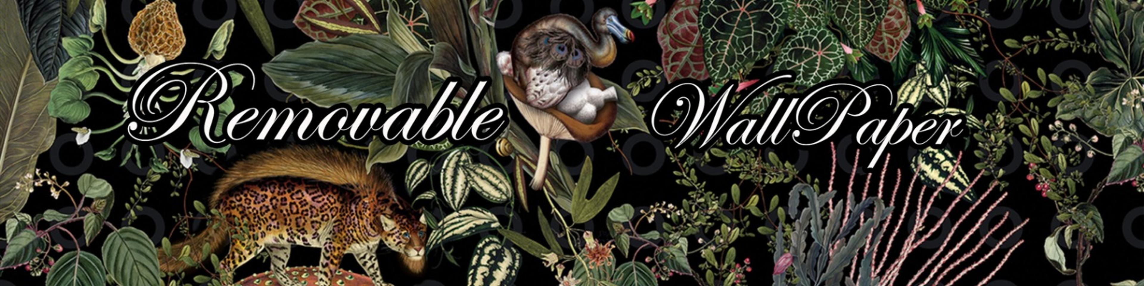 Shop cover image