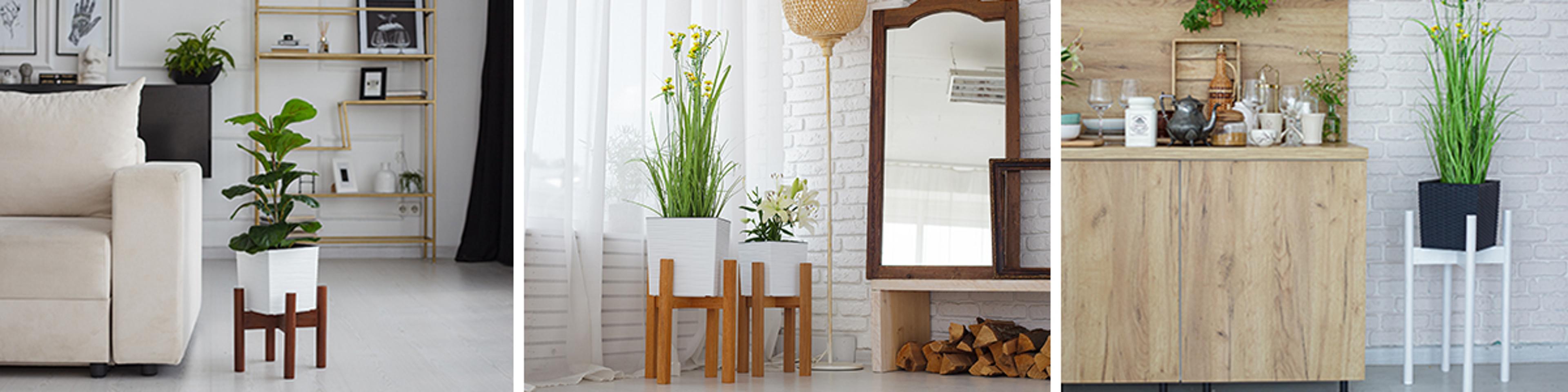 Shop cover image