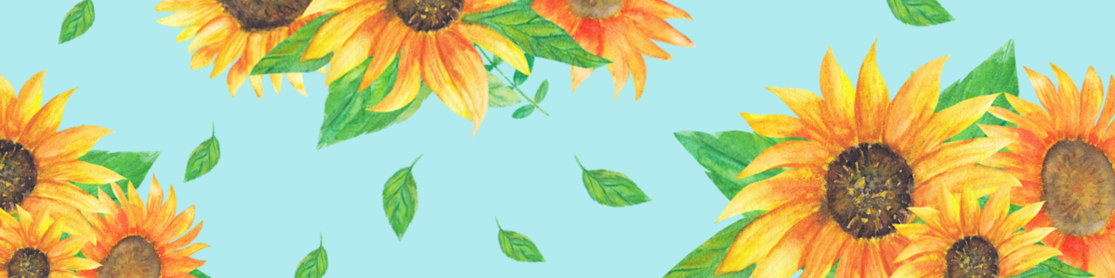 Shop cover image