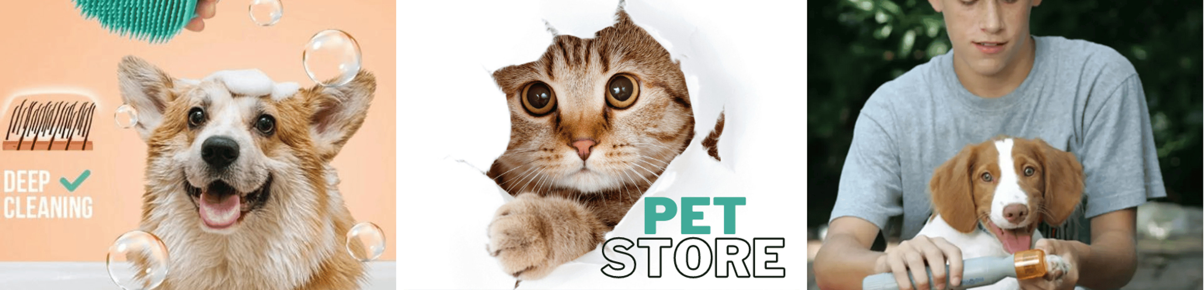 Shop cover image