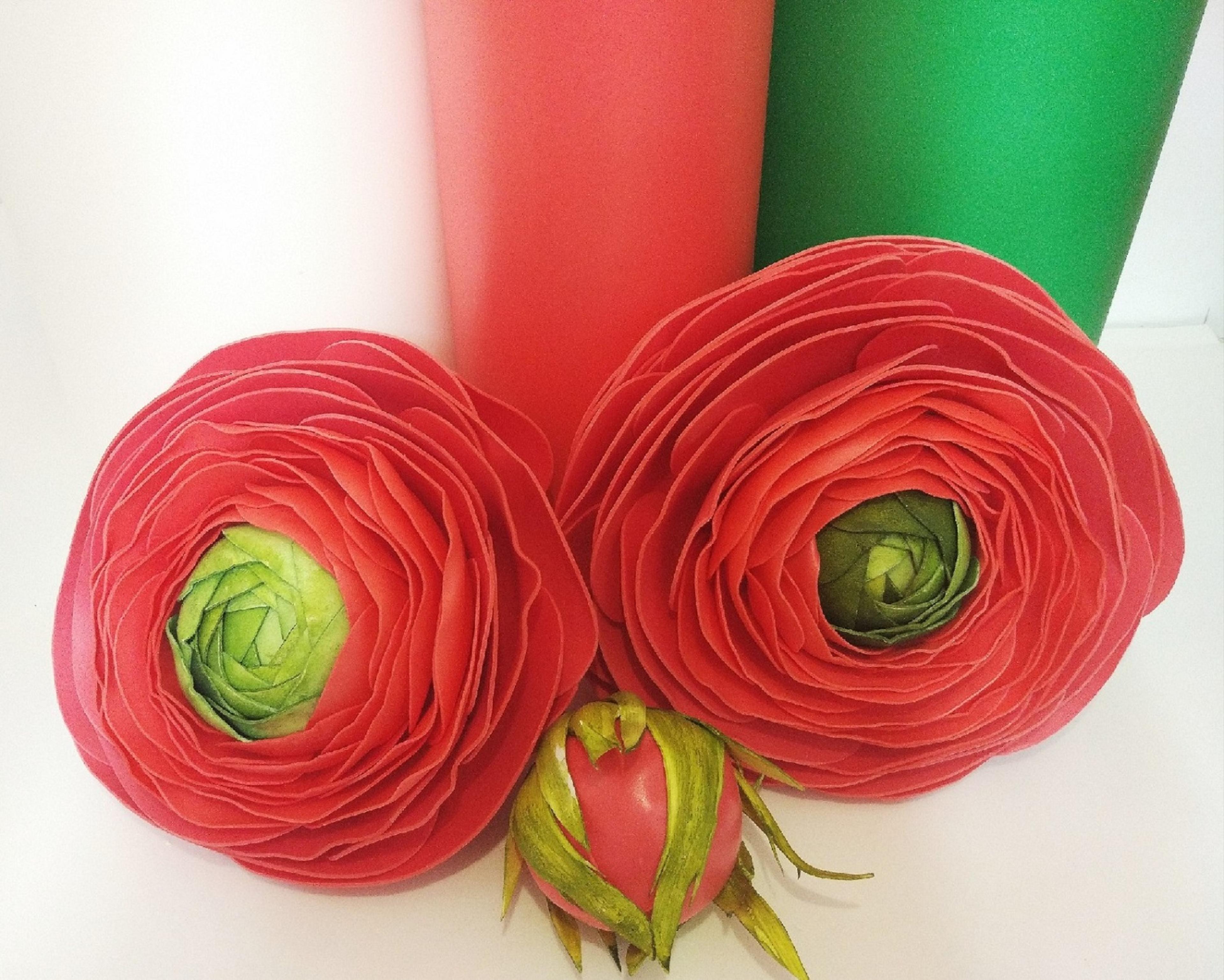Shop cover image
