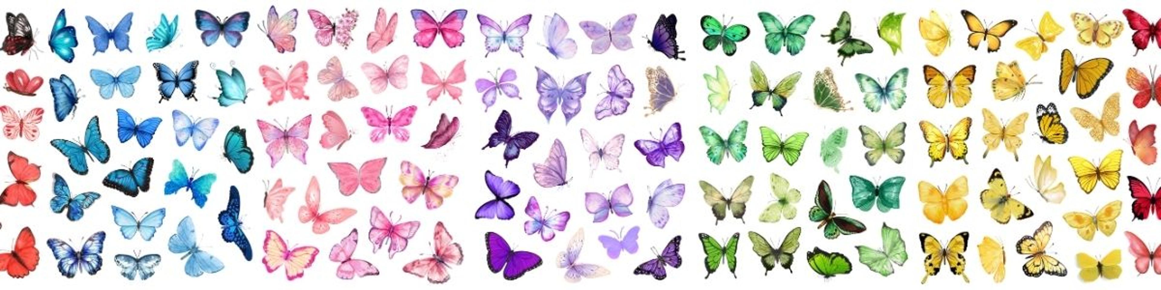 Shop cover image
