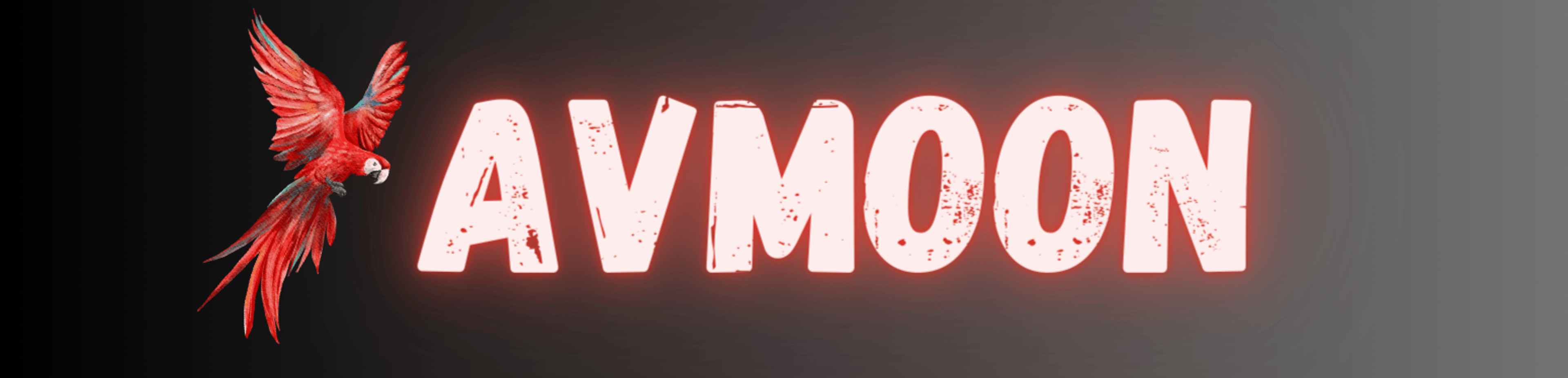 Shop cover image