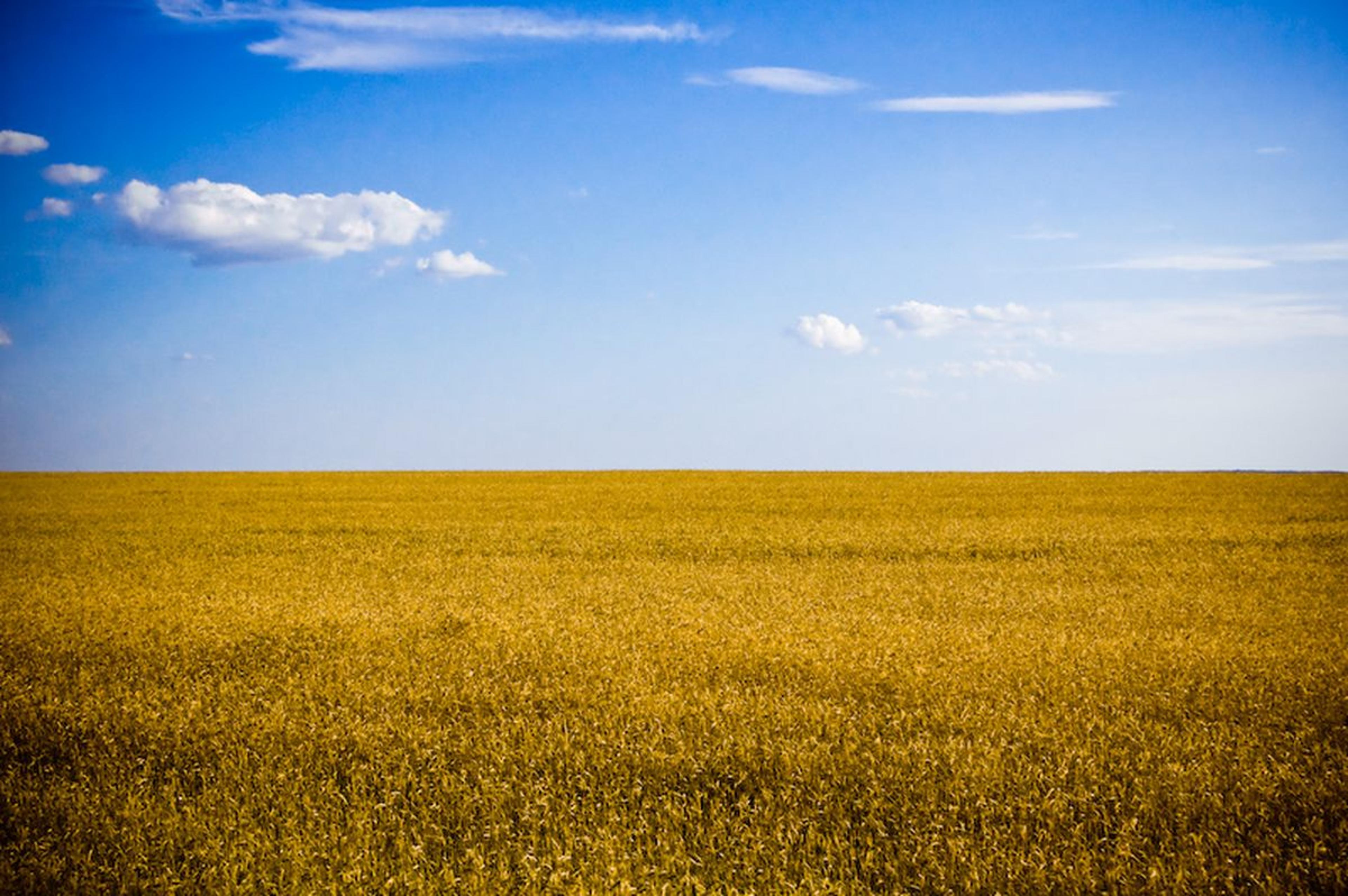 Shop cover image