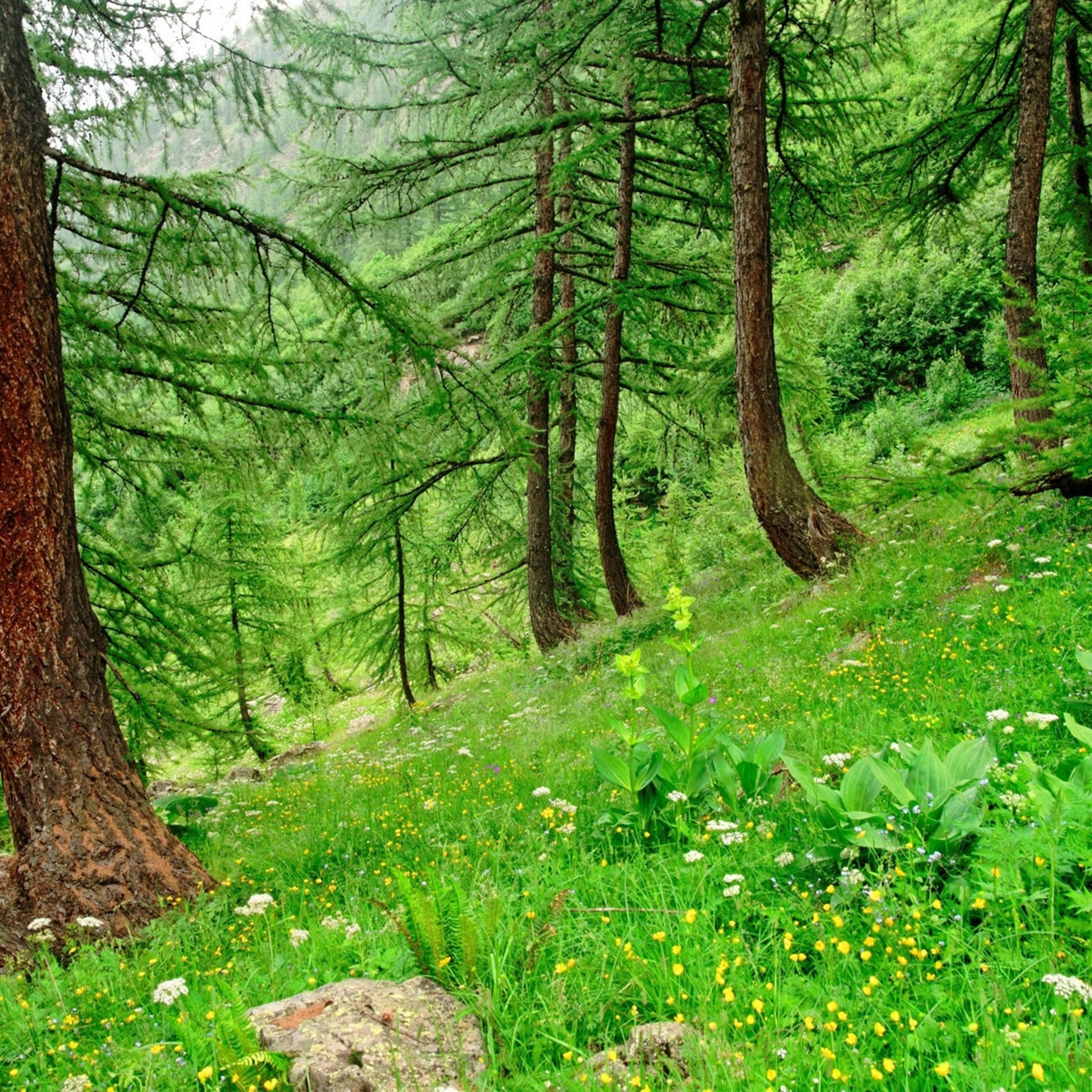 Shop cover image