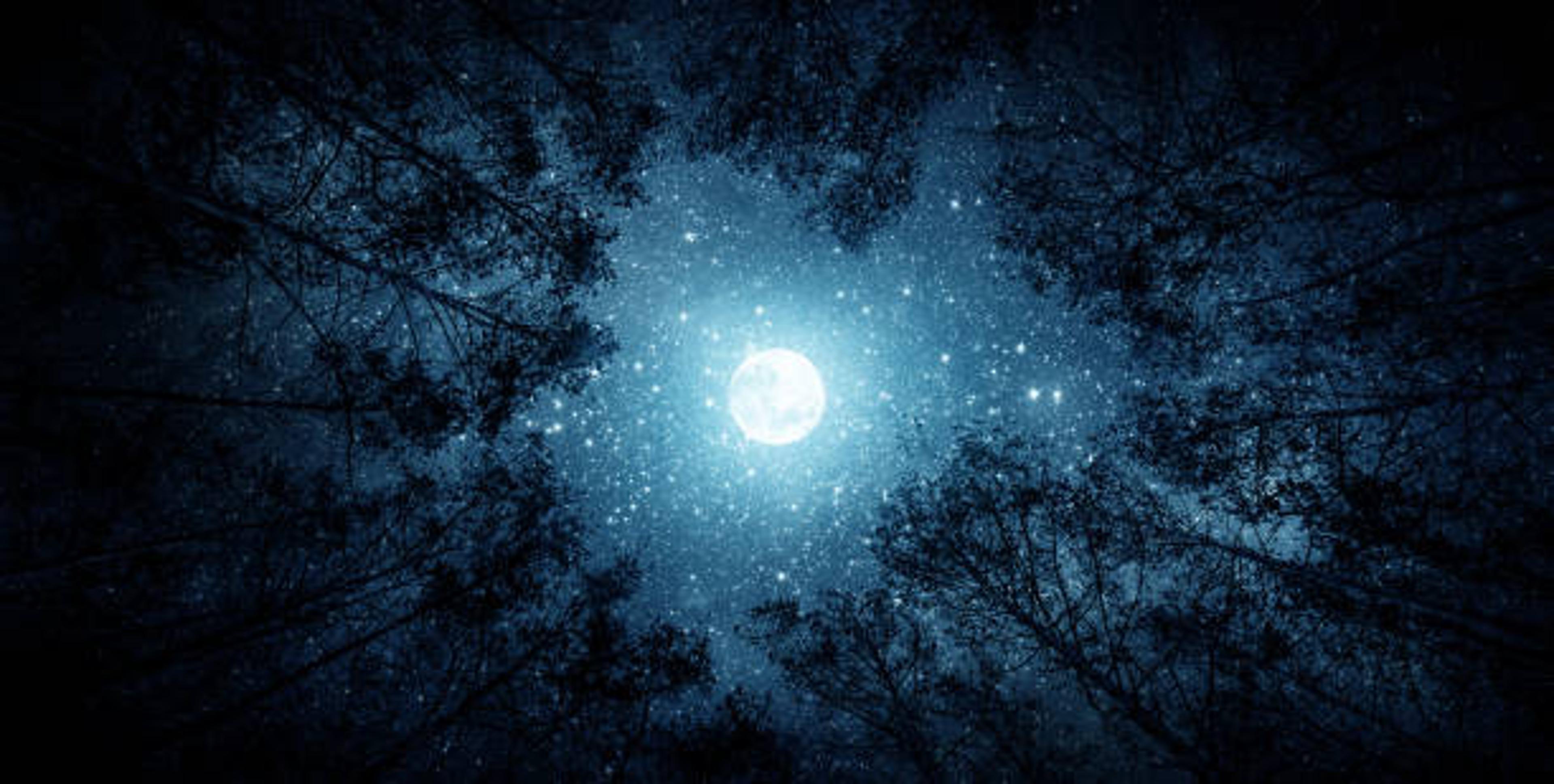 Shop cover image