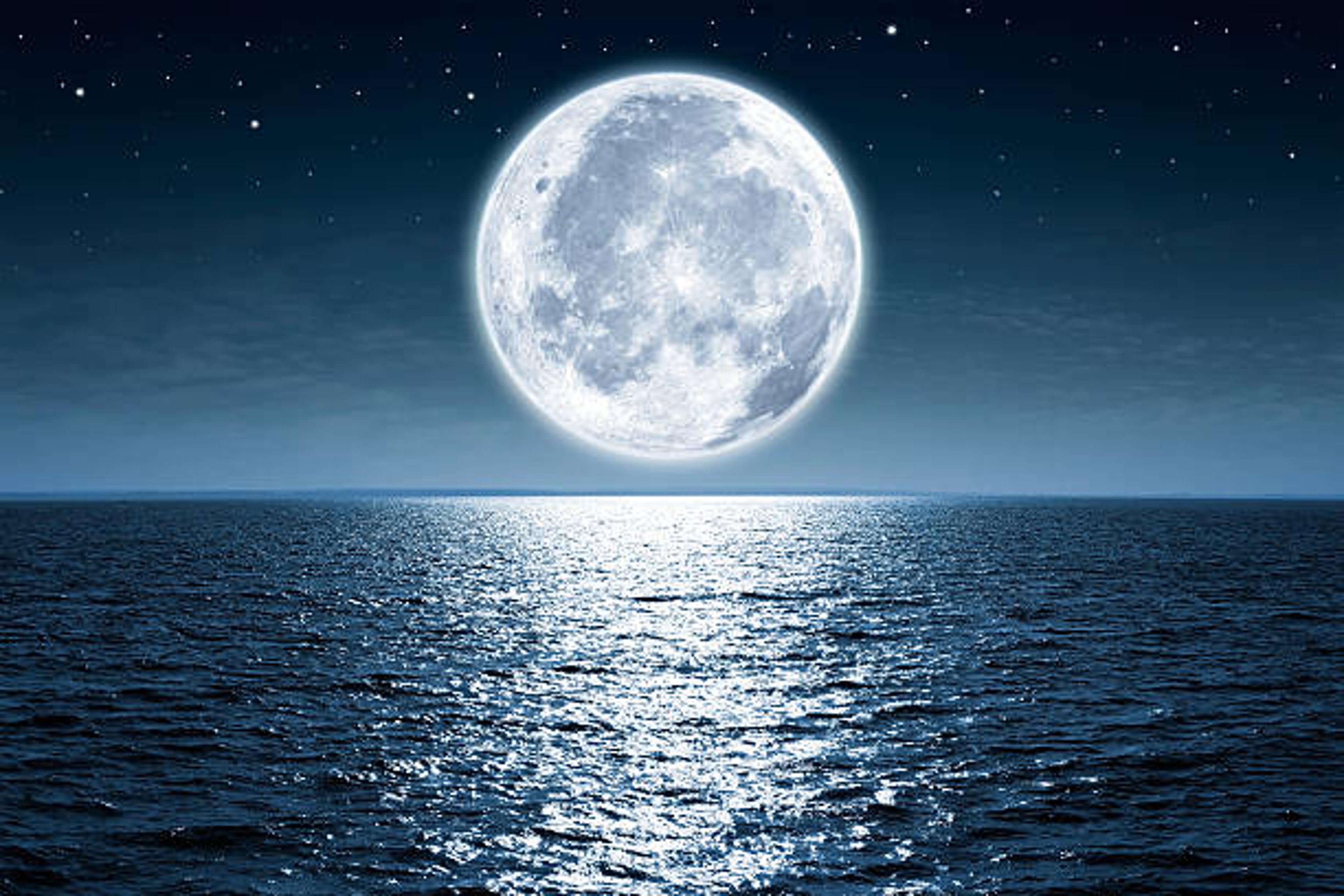Shop cover image