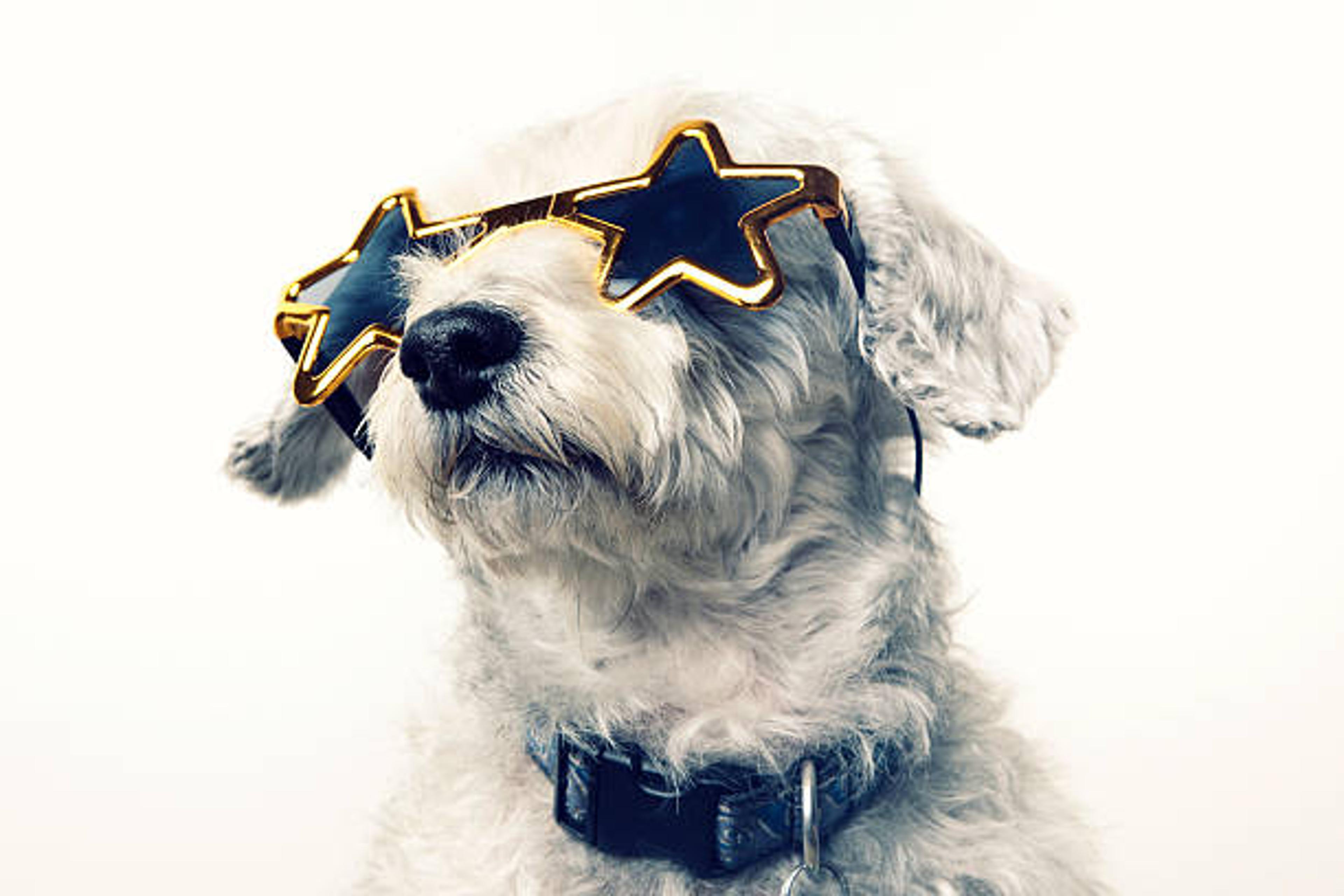 Shop cover image