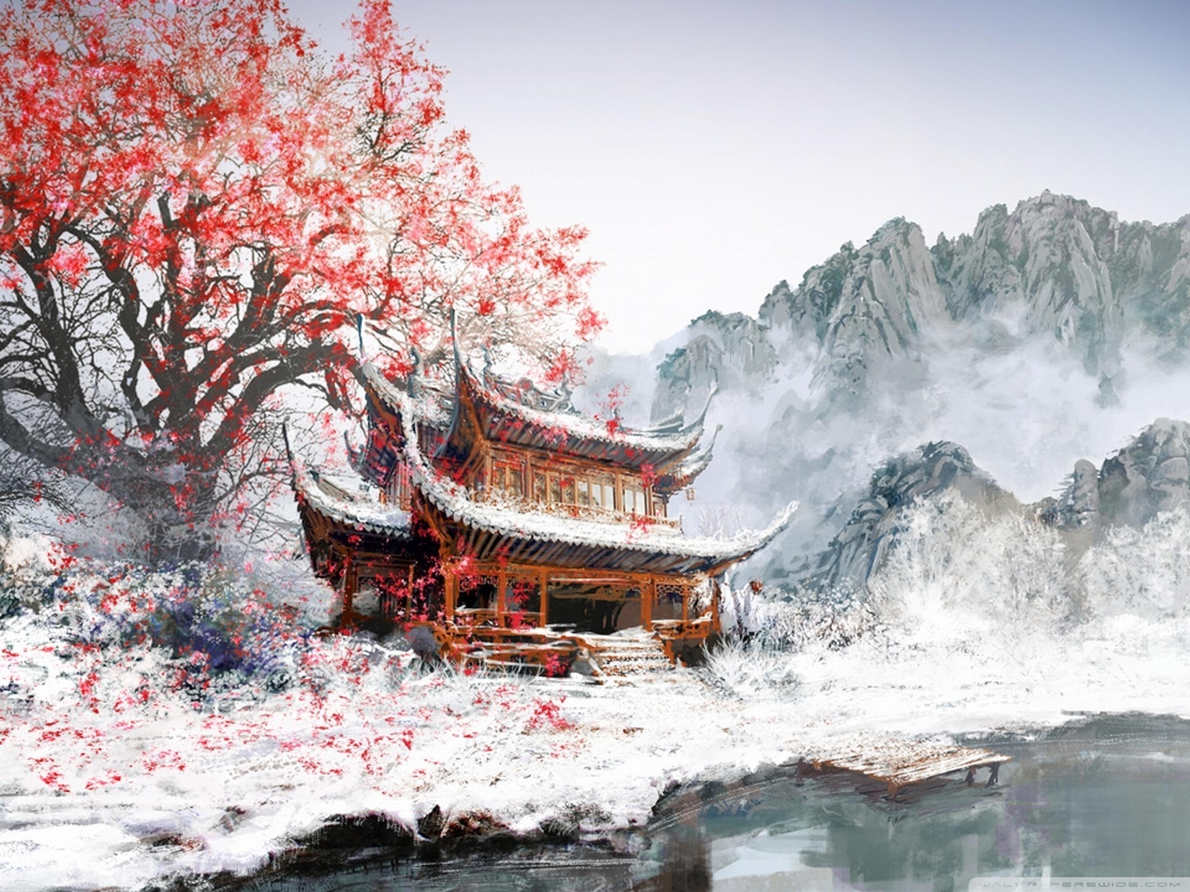 Shop cover image