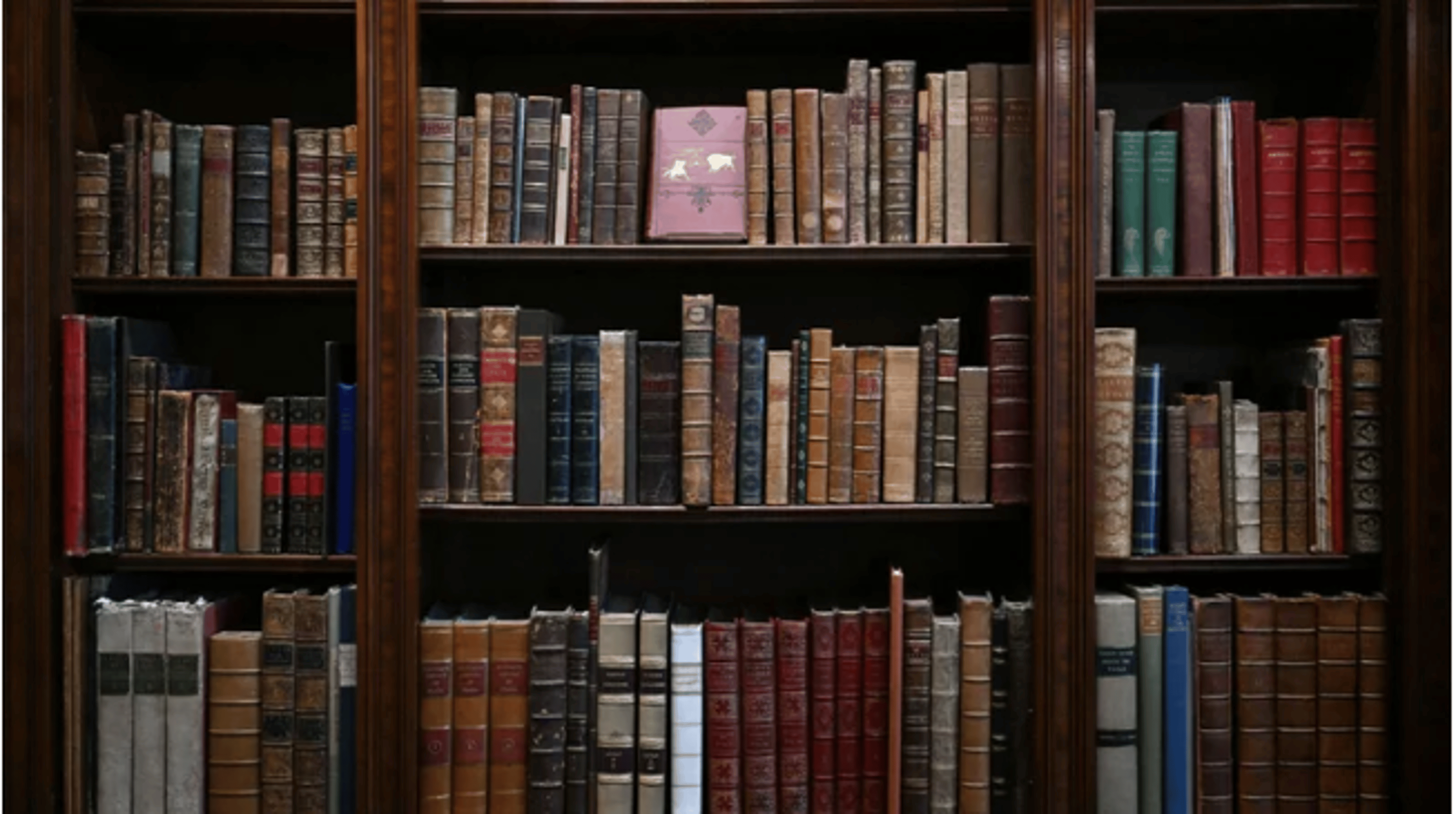 Shop cover image