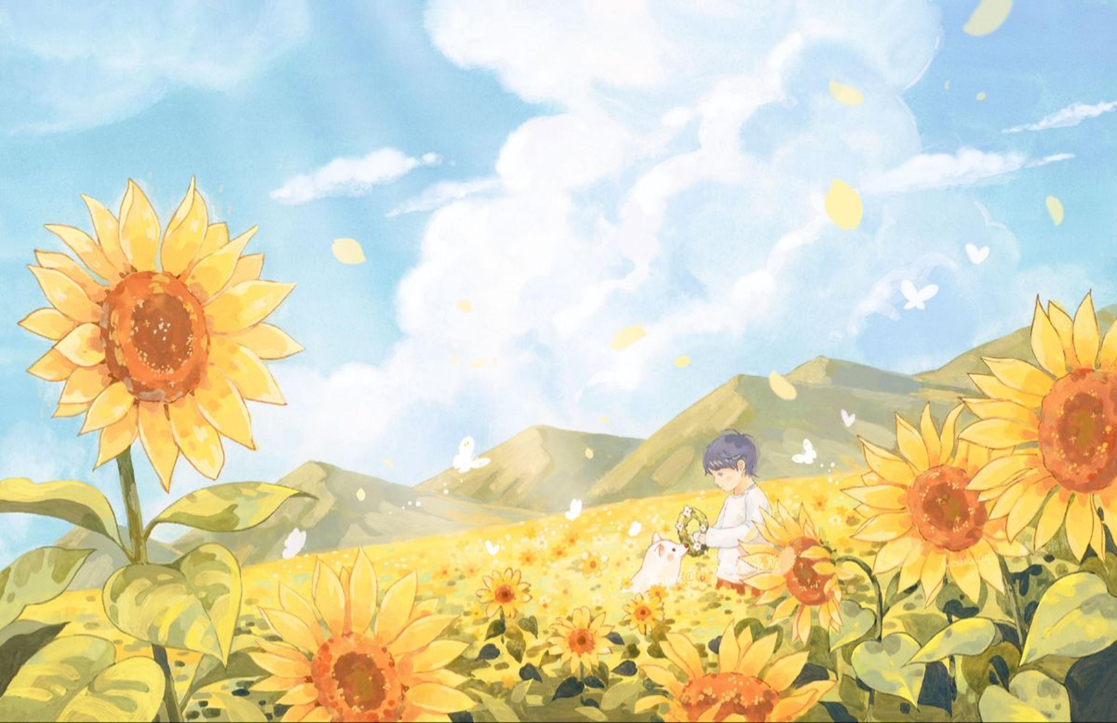 Shop cover image